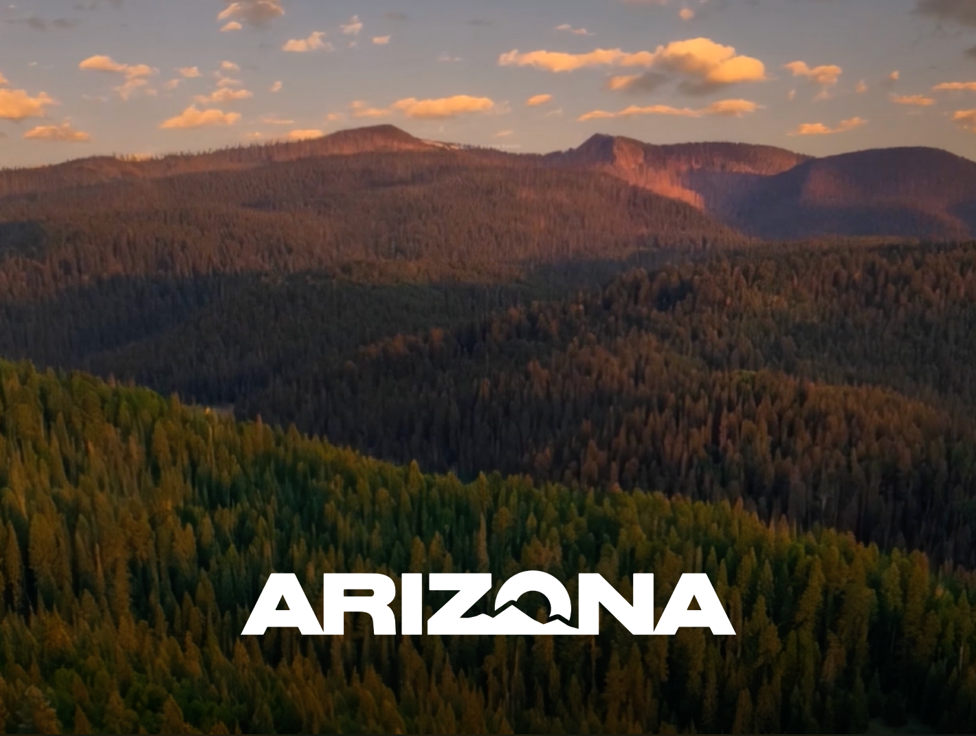 arizonanew.png