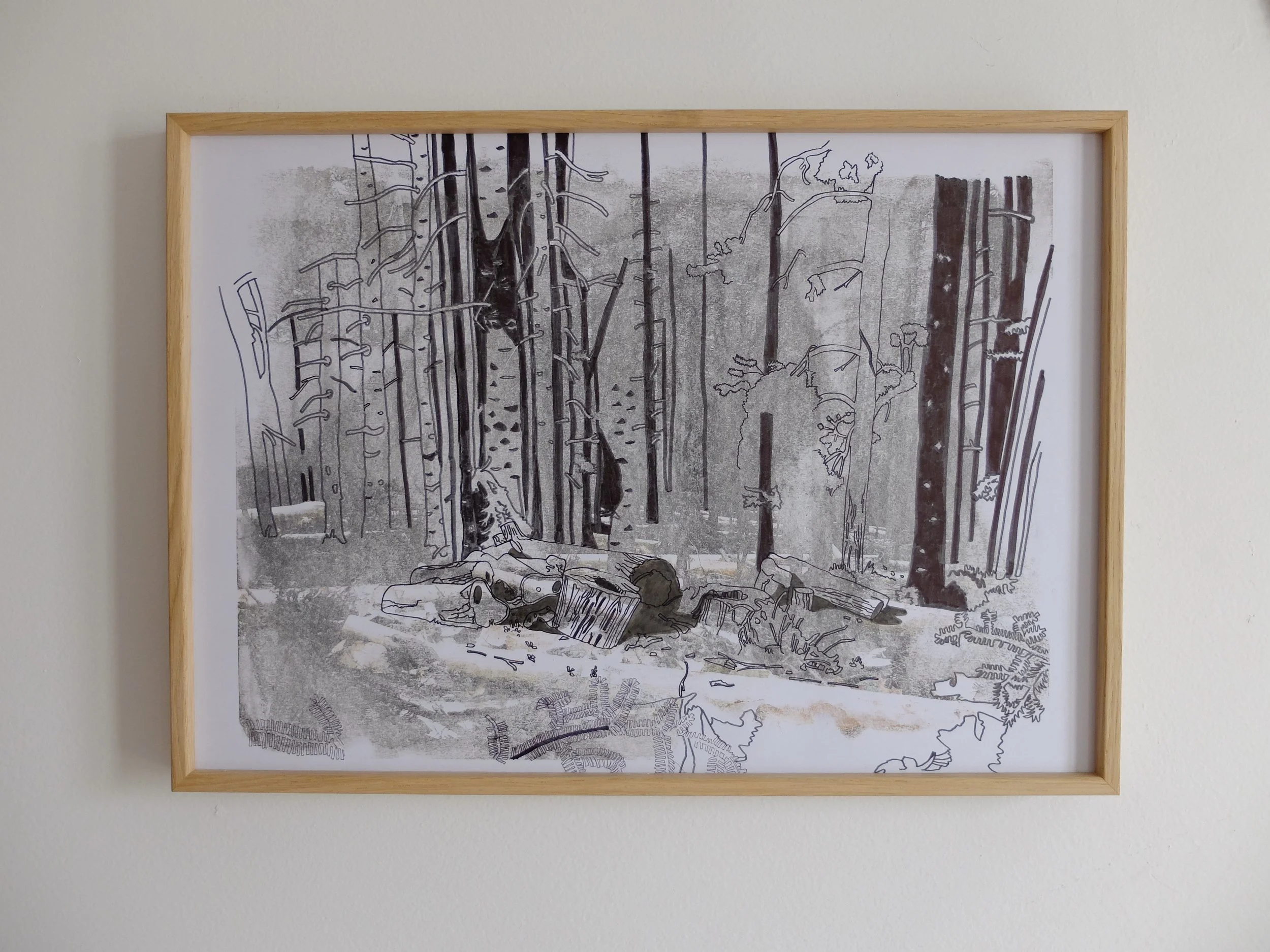 Reconstruction 2.JPG