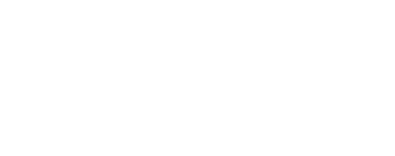 Metro Cars - The Original and Official