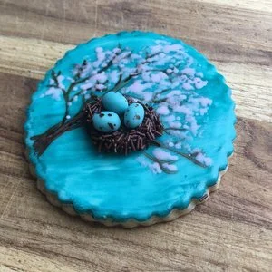 robin's nest dimensional easter cookie