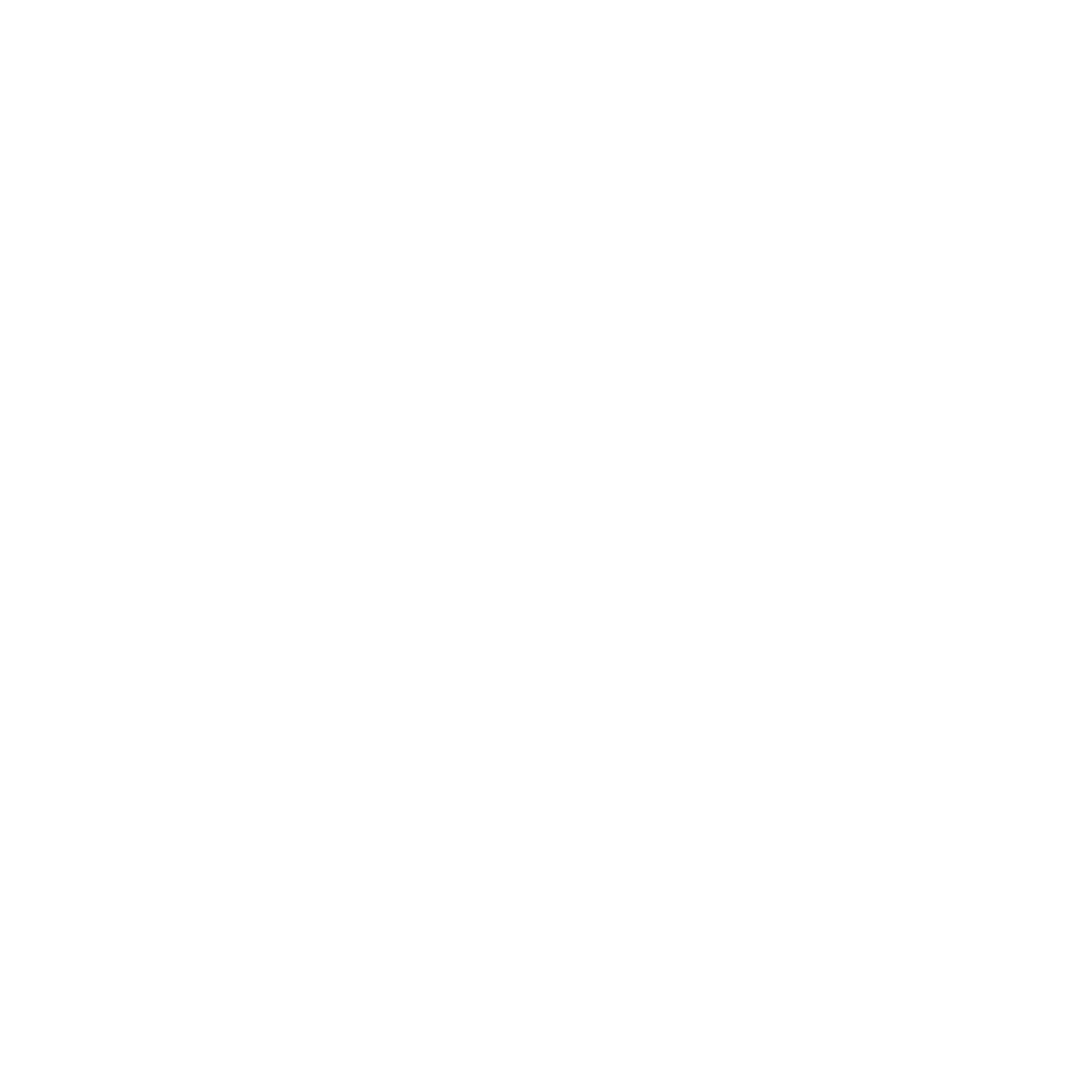 Sandy Logo White.png