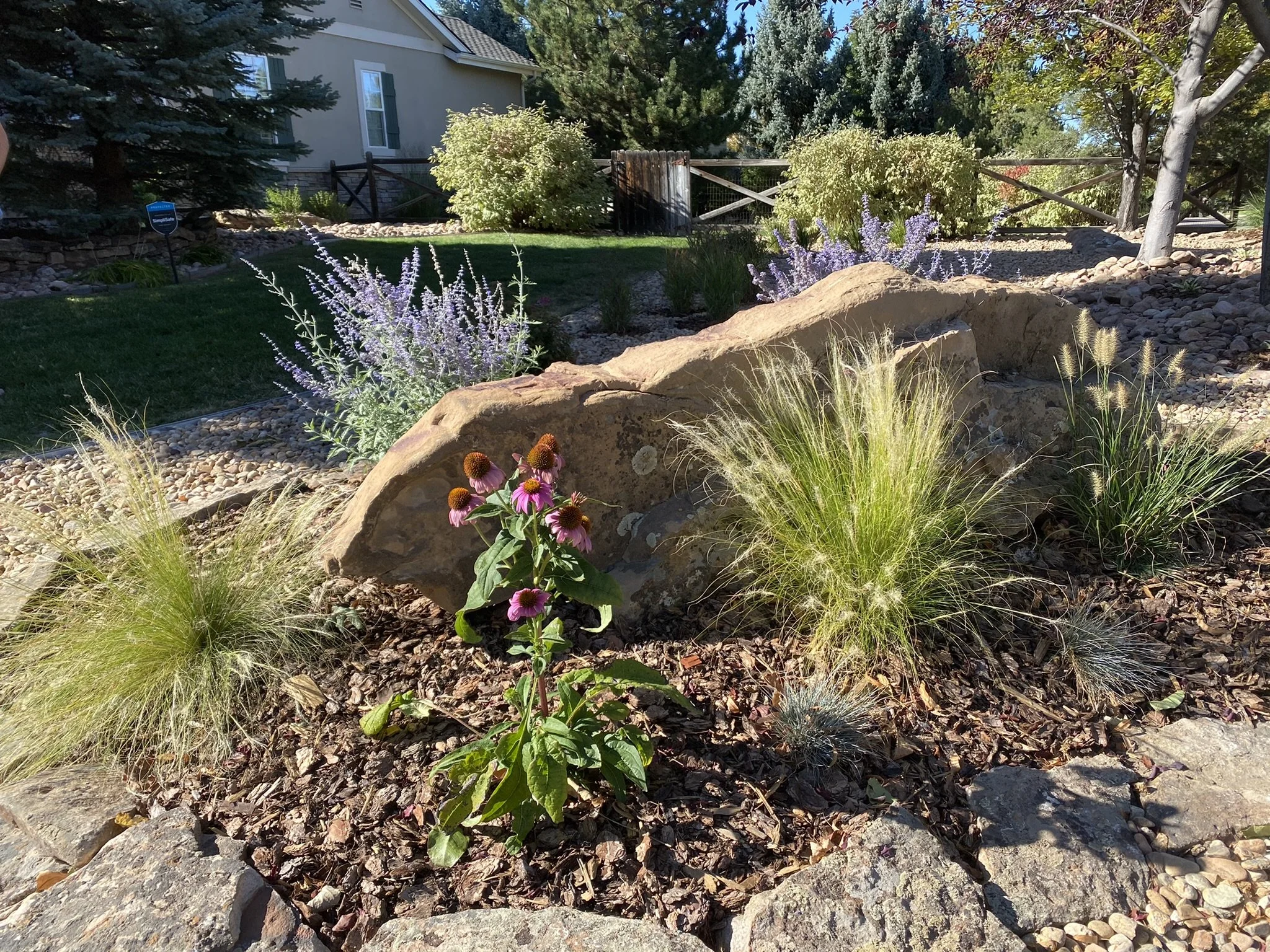 Xeriscaping
