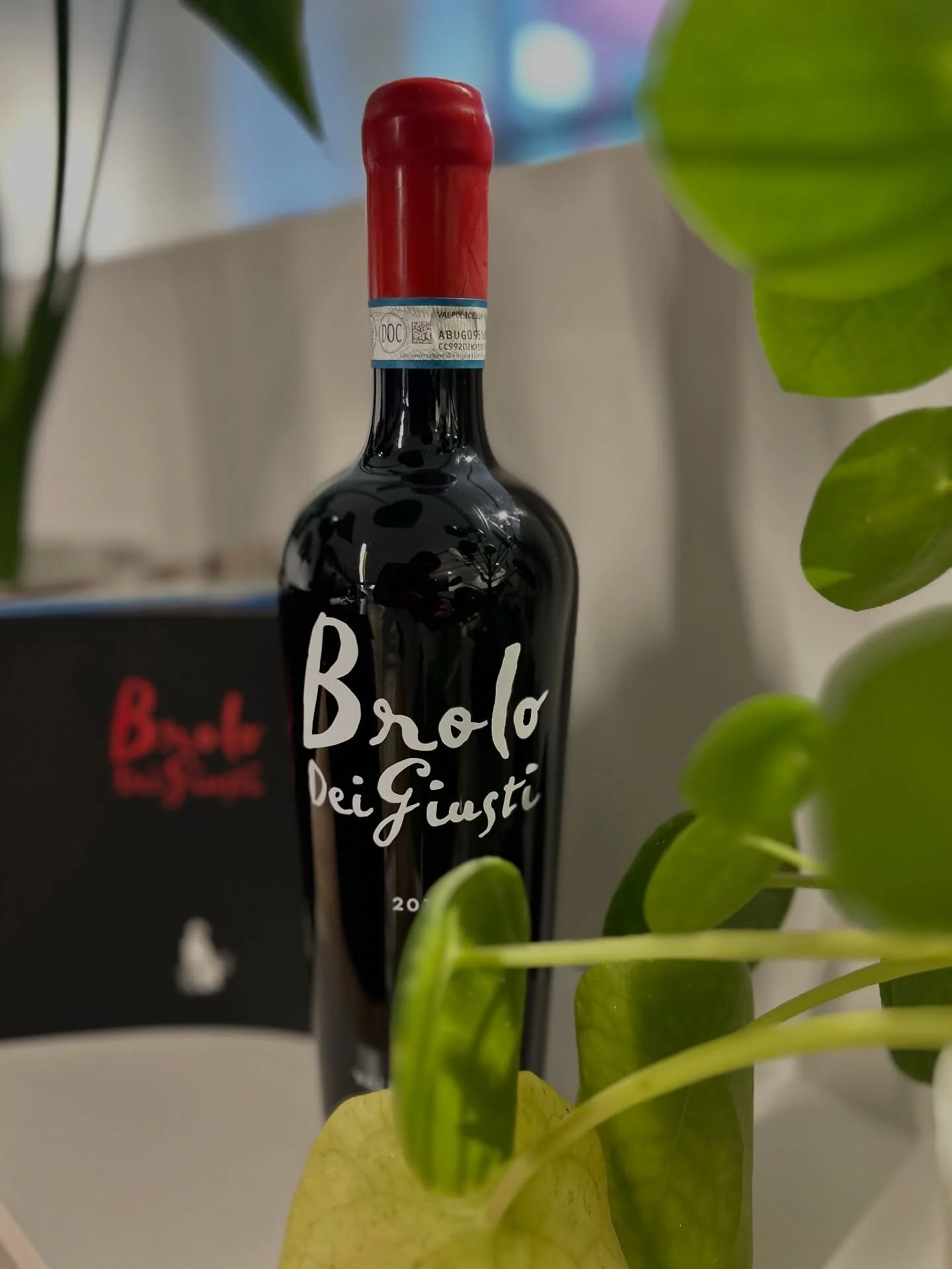 Italiaanse roots, wereldse charme🍷🇮🇹 #valpolicellasuperiore #corvinaveronese #rondinella #corvinone