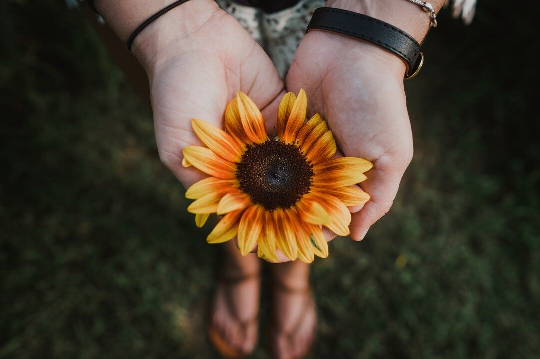 It's time to schedule your sunflower mini session! Book a session for $150
.
July 16-18, 5 pm - 8 pm 
20 minutes
Digital gallery
Prints available
.
Check the blog for more info!
.
#sunflowerphotography #sunflower #sunflowerseason #northcarolinaphotog