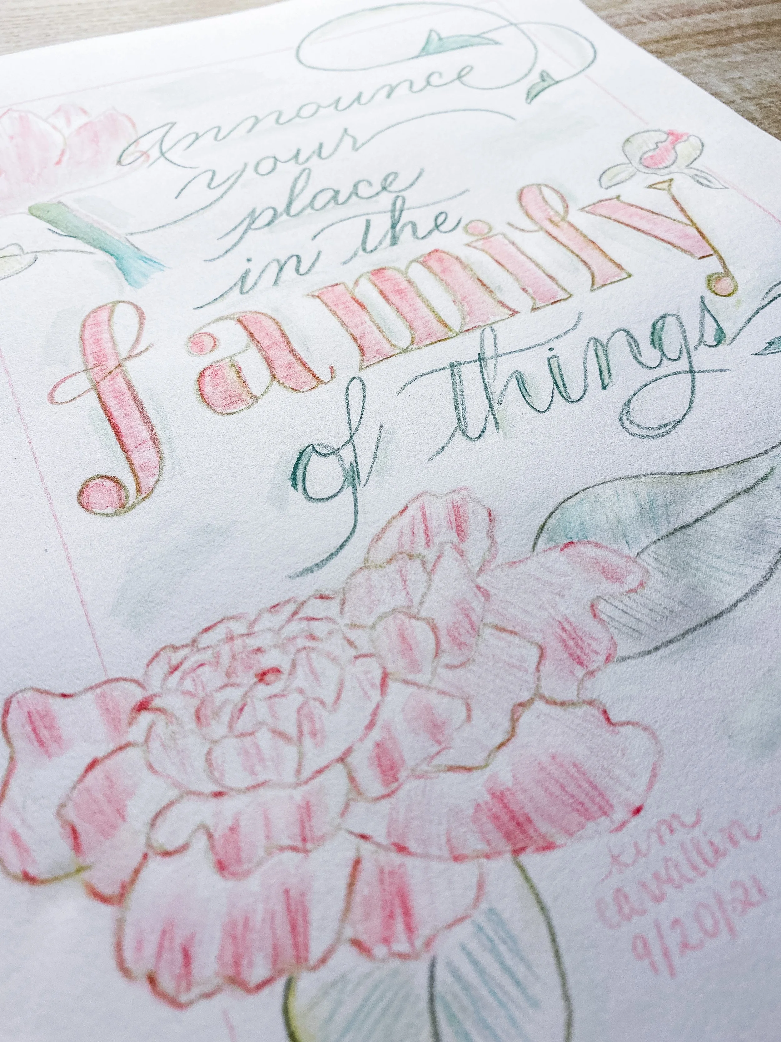 IMG_1065.jpg