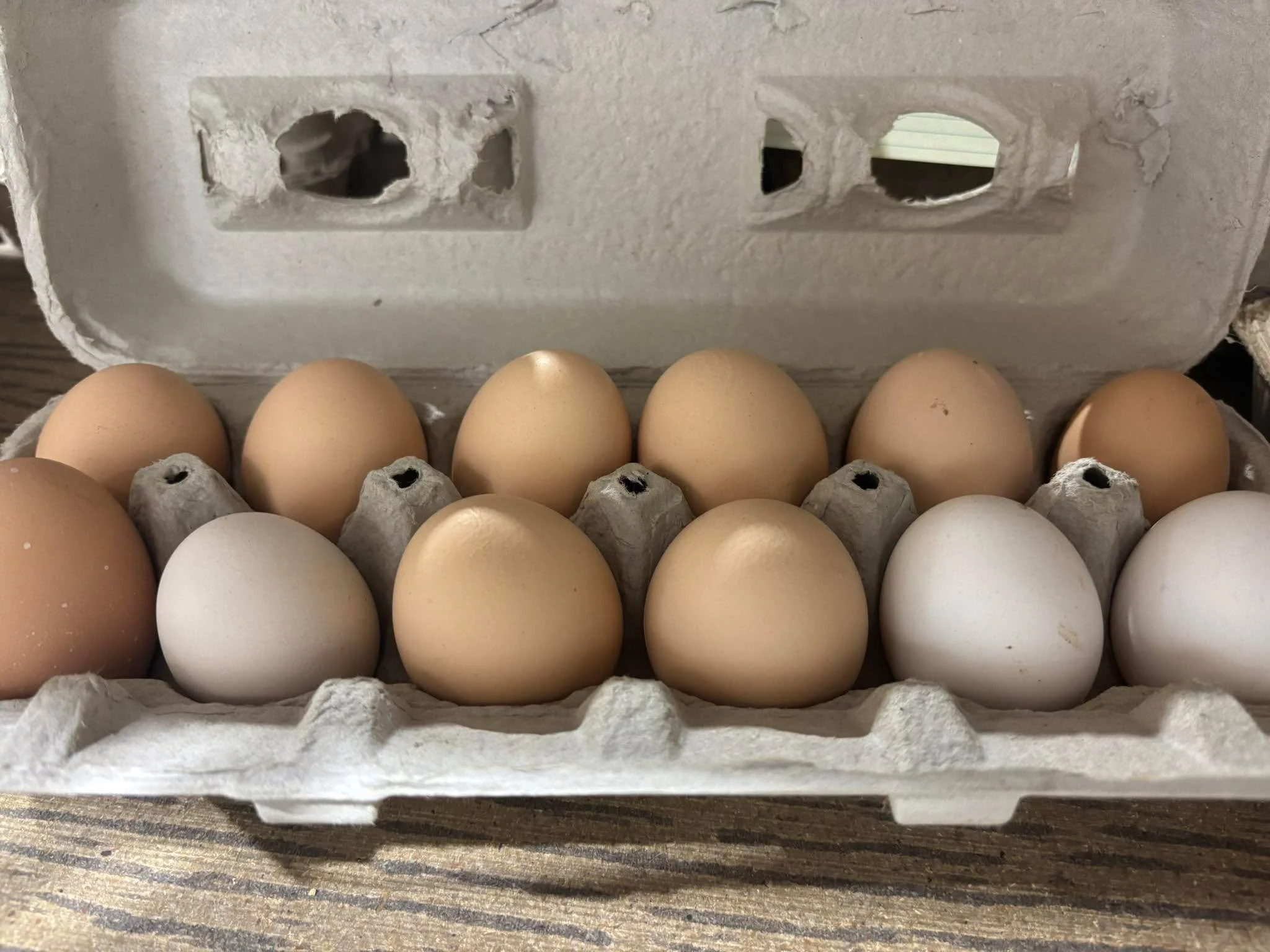 TeckFarms has farm fresh eggs $4 dozen pm me if interested.