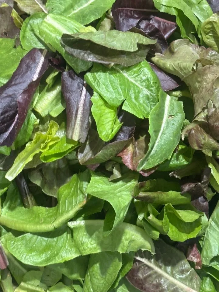 TeckFarms will be open Thursday and Friday October, 16th and 17th from 10am to 5pm. 1239 N Hendricks