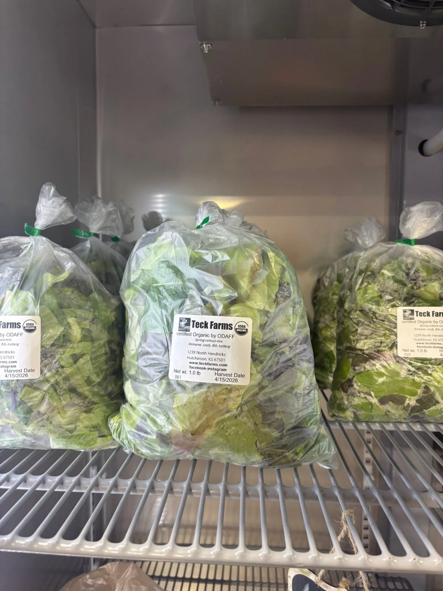 TeckFarms will be open Saturday, April 18th. From 10am-1pm. We have lettuce blends, Kale, Bok￼ choy and Rhubarb. ￼located at 1239 N Hendricks