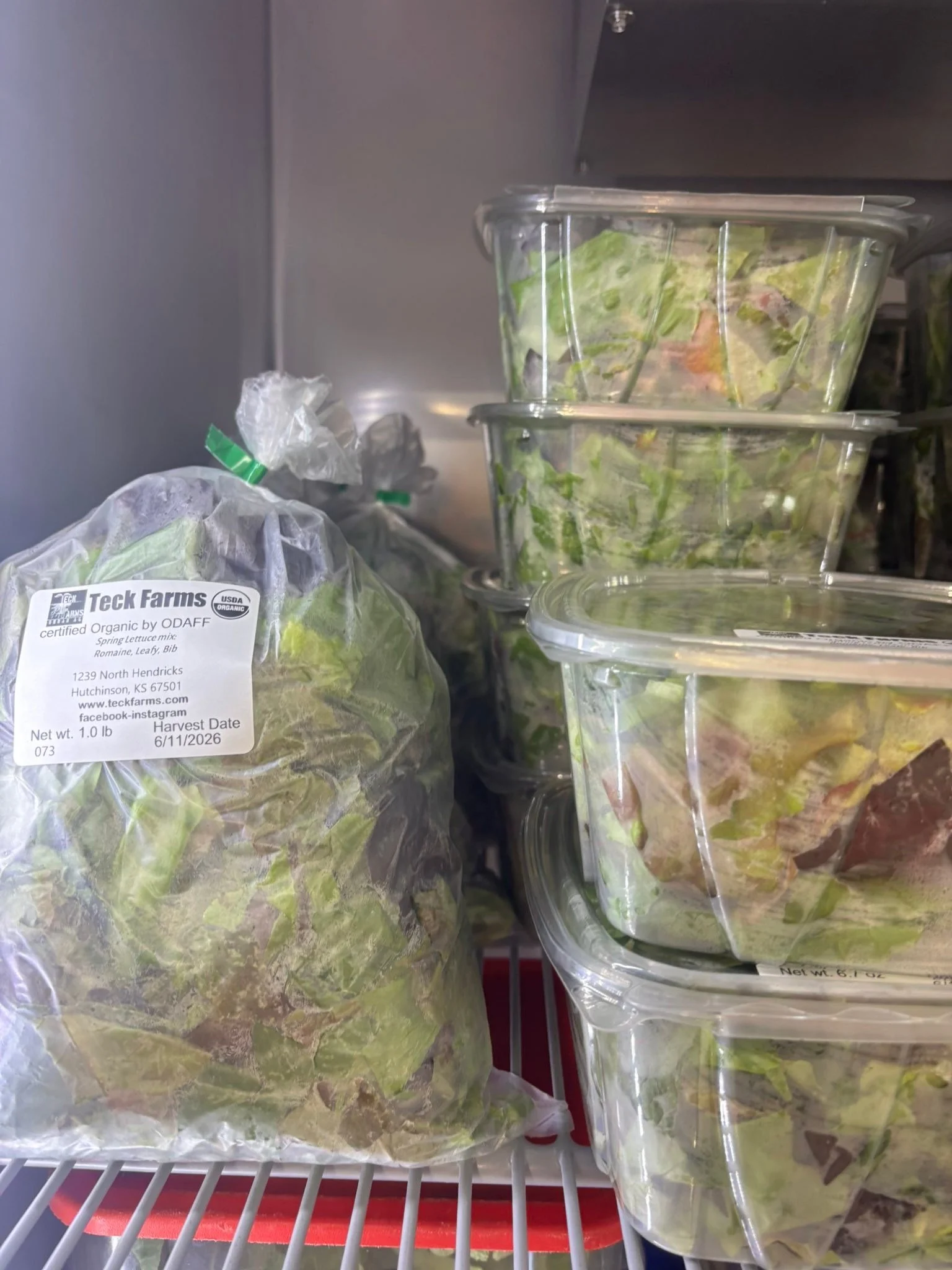 Teck farms open today June 11th, from 10am-5pm. Friday from 10am-3pm and Saturday from 9am-1pm. We harvested lettuce blends this morning! ￼We have Kale, Swiss Chard, mustard greens, radishes, turnips, herbs, kohlrabi, beets pepper sauce and eggs. 123