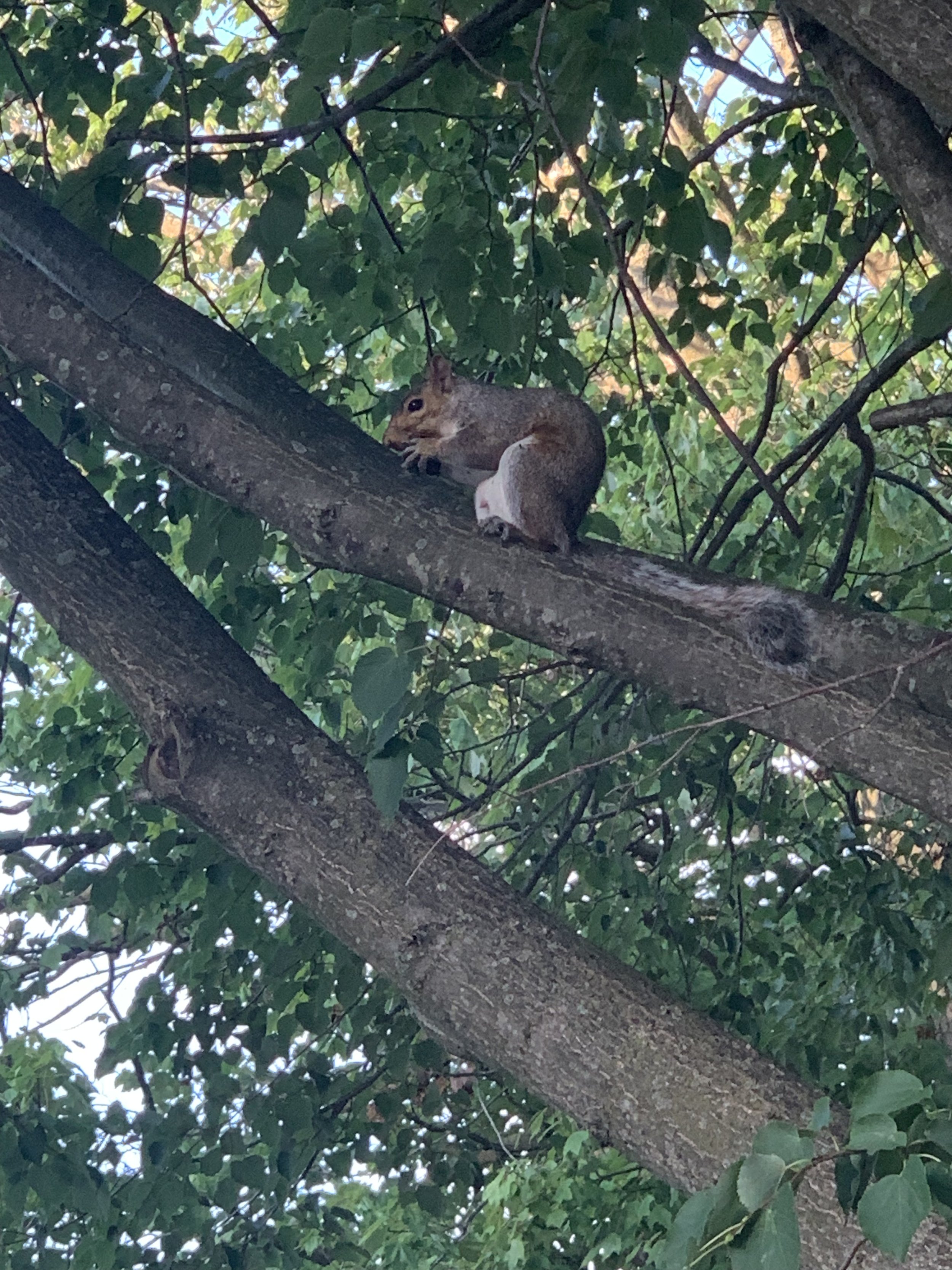 IMG_9473.jpeg