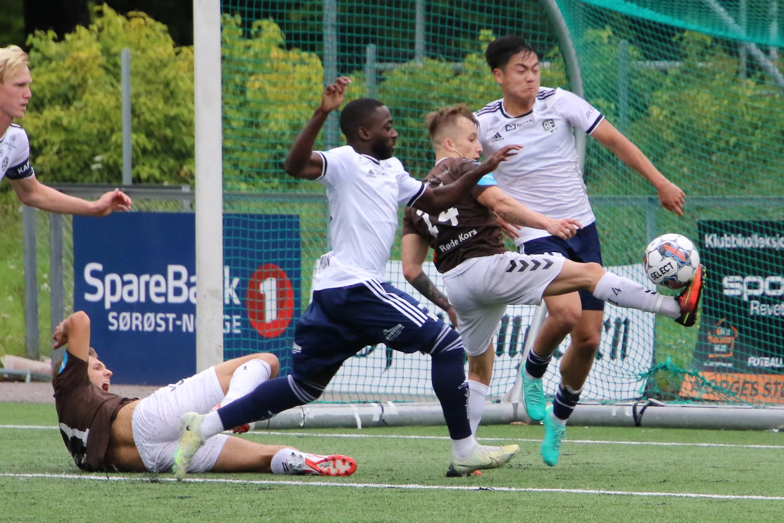 Surt hjemmetap mot effektive sørlendinger