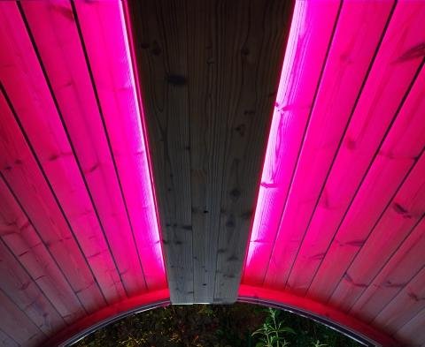 SaunaLife-EMOOD-Fuscia.jpg