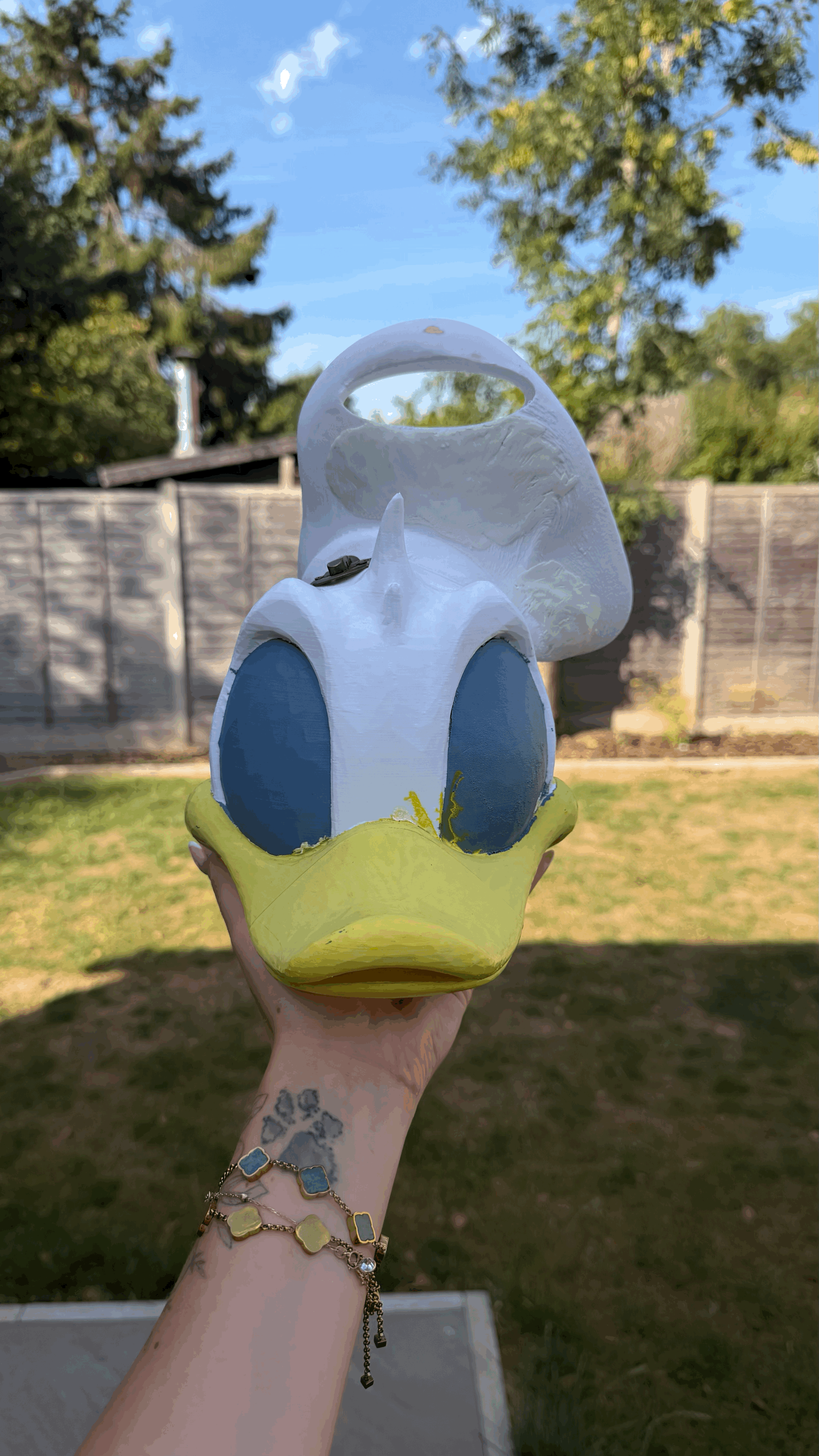 SALE Retro Cartoon Display Box: Donald Duck