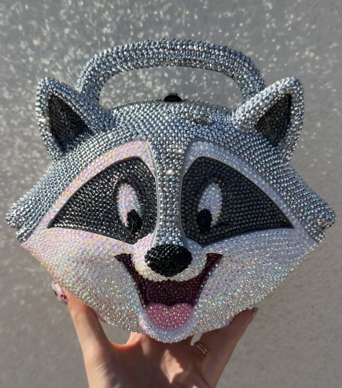 Retro Cartoon Display Box: Meeko