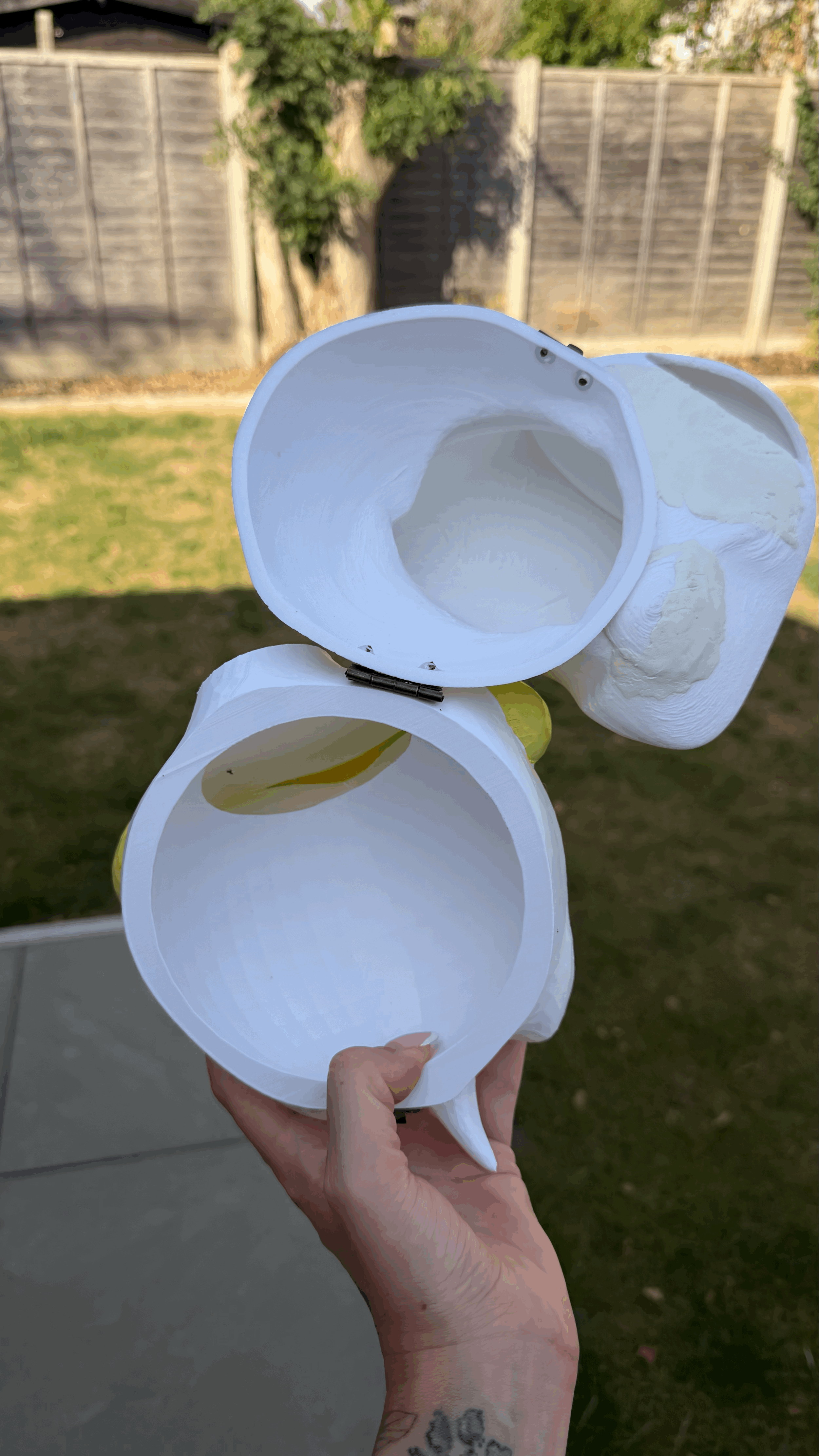 tempImagemsXDP4.gif