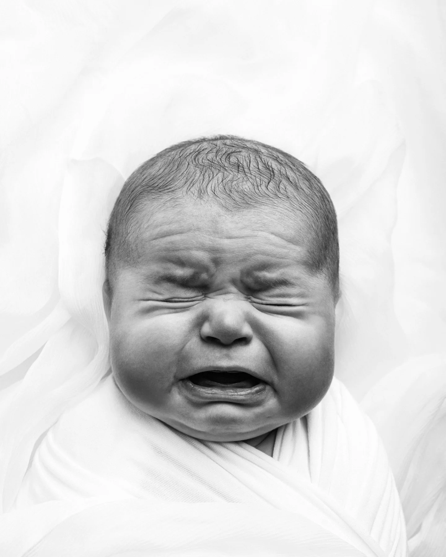 Ett bittelite &oslash;yeblikk. En 6 uker gammel go&rsquo;kar. &laquo;Livets linjer&raquo; 🤍