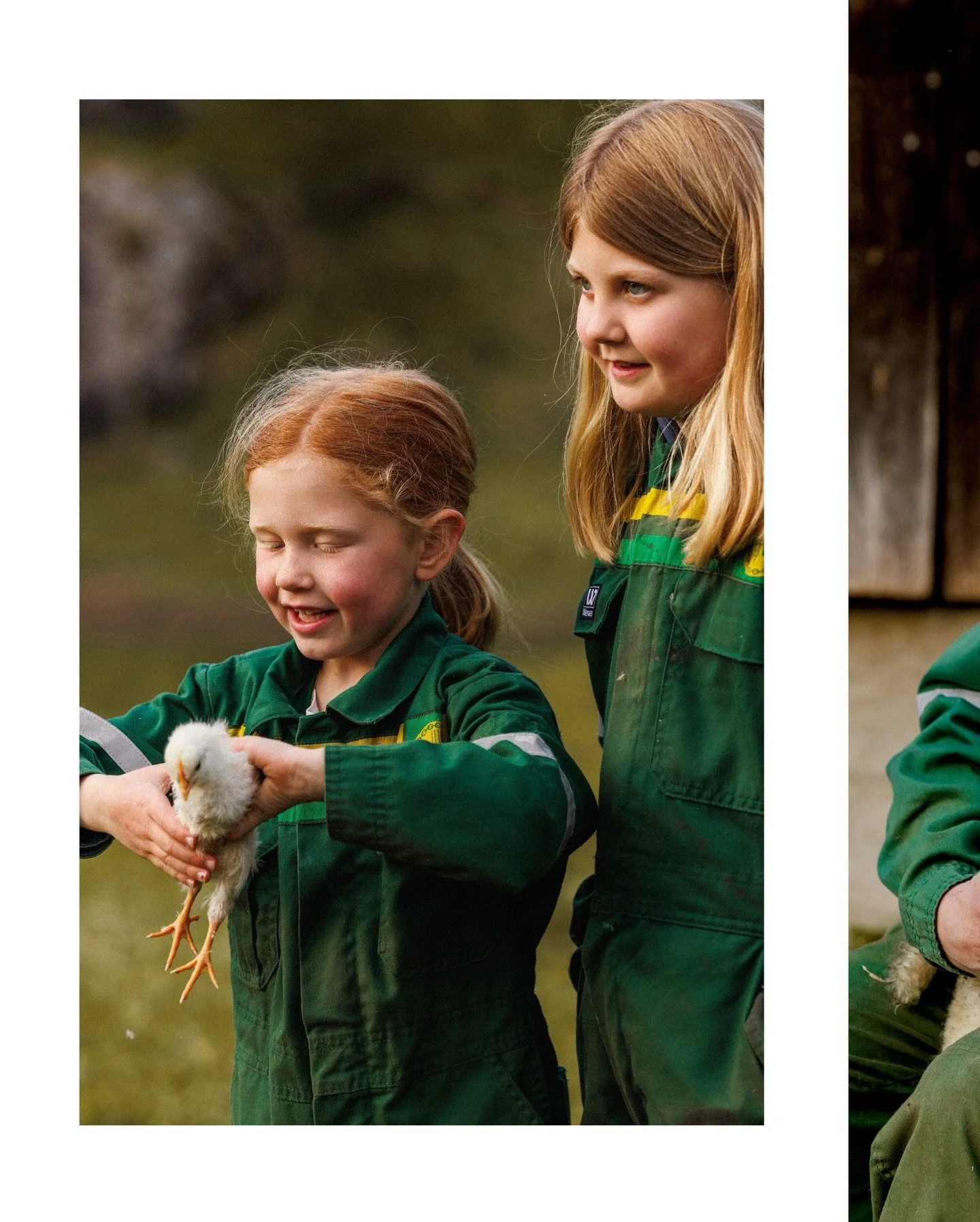 Om noen &aring;r er det kanskje nettopp disse minnene som betyr mest. Sm&aring; &oslash;yeblikk som minner oss p&aring; hvor fint det var, og hvor fort det gikk 💛

Send oss en melding dersom du &oslash;nsker deg en slik fotografering 🌱🐑