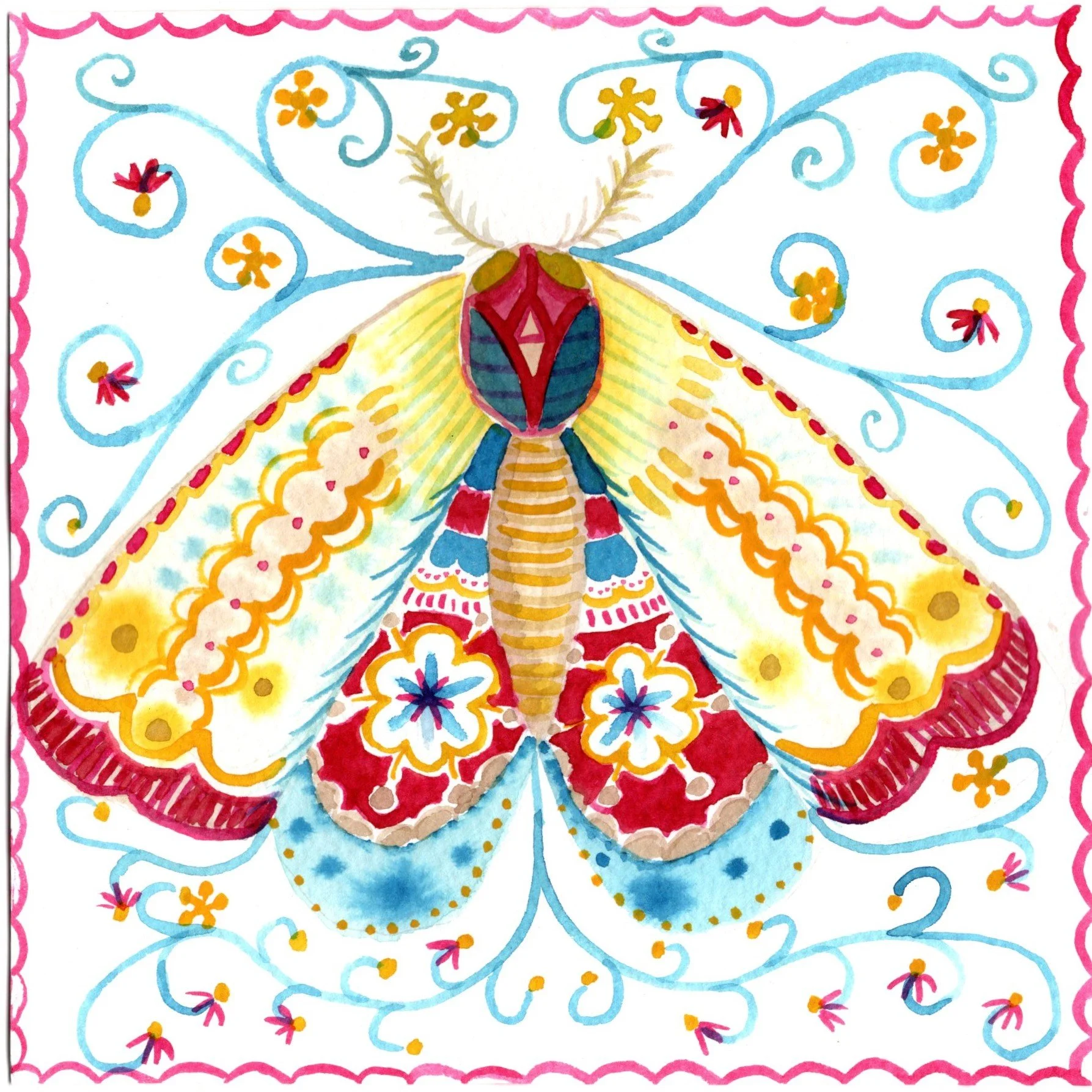 Moth.jpg