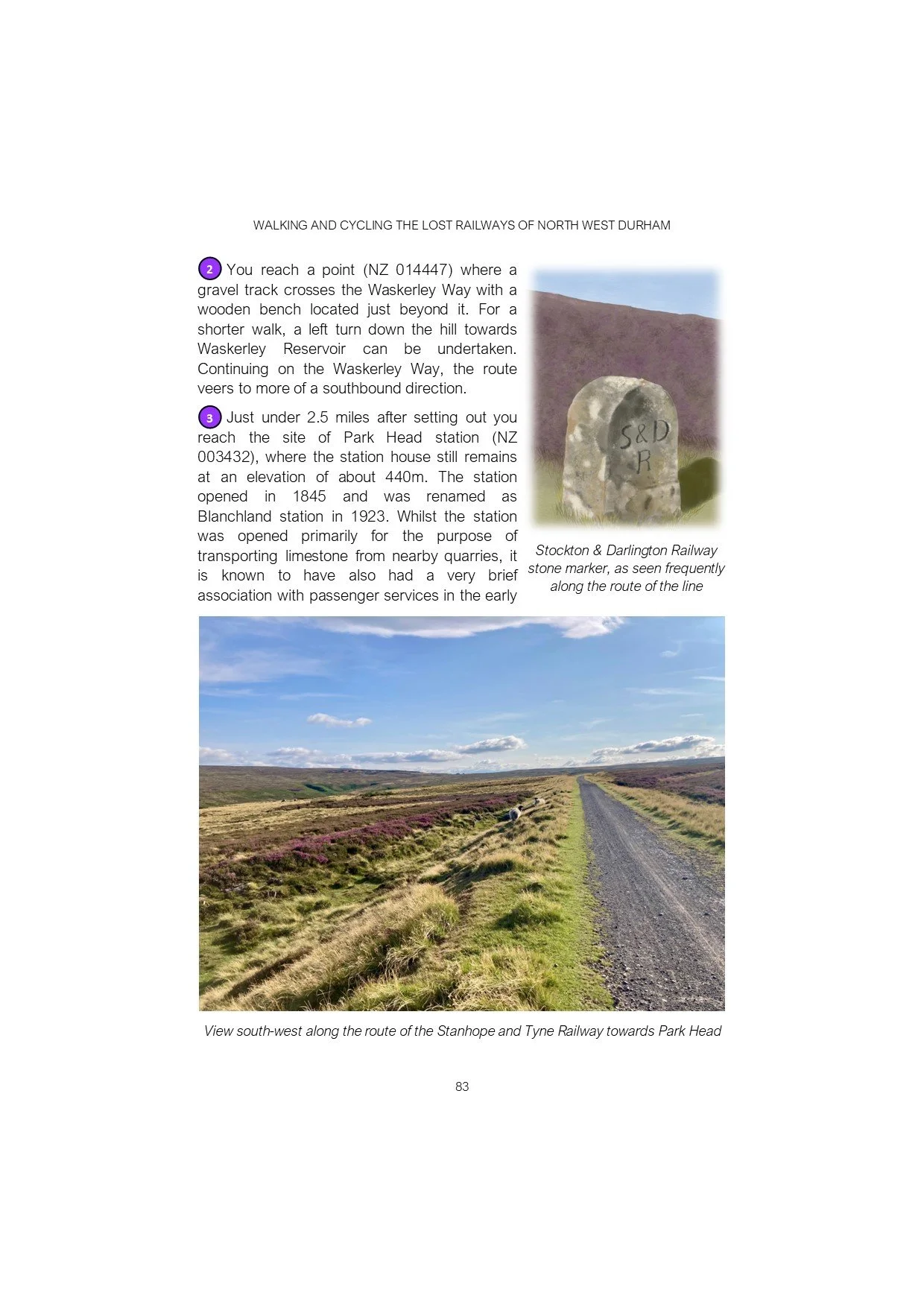 STW3 for website.jpg