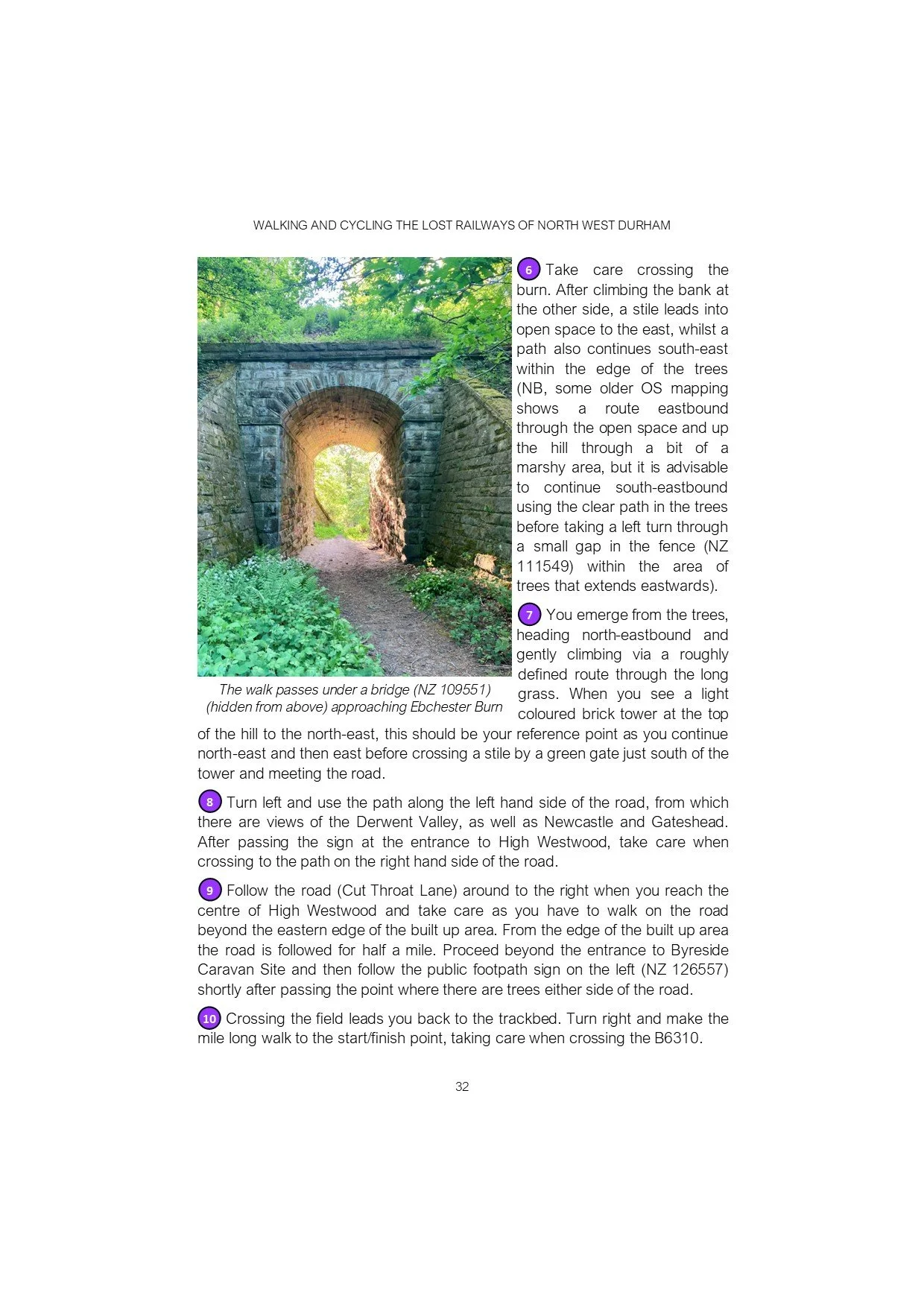 DVW3 for website.jpg