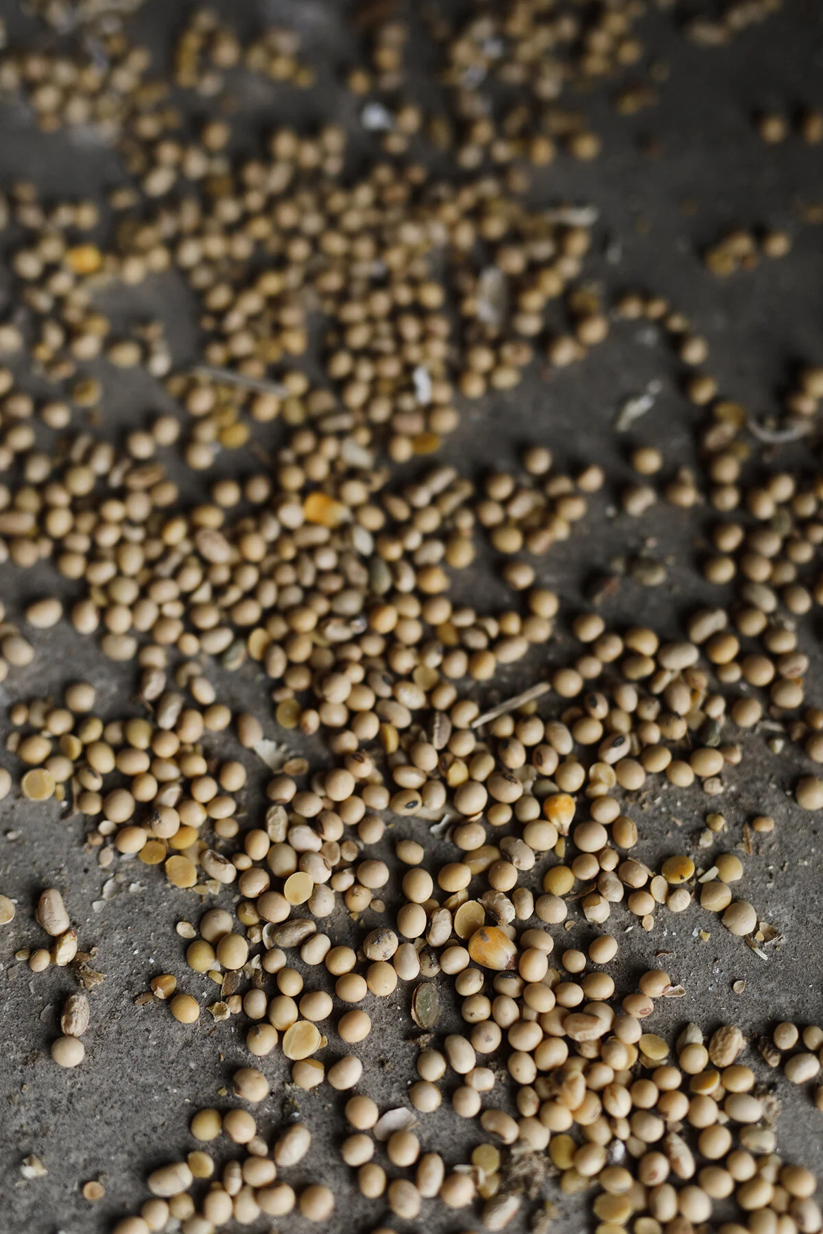 THE ARTHUR COMPANIES — Britta the Photographer