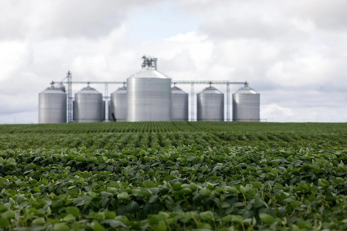 THE ARTHUR COMPANIES — Britta the Photographer