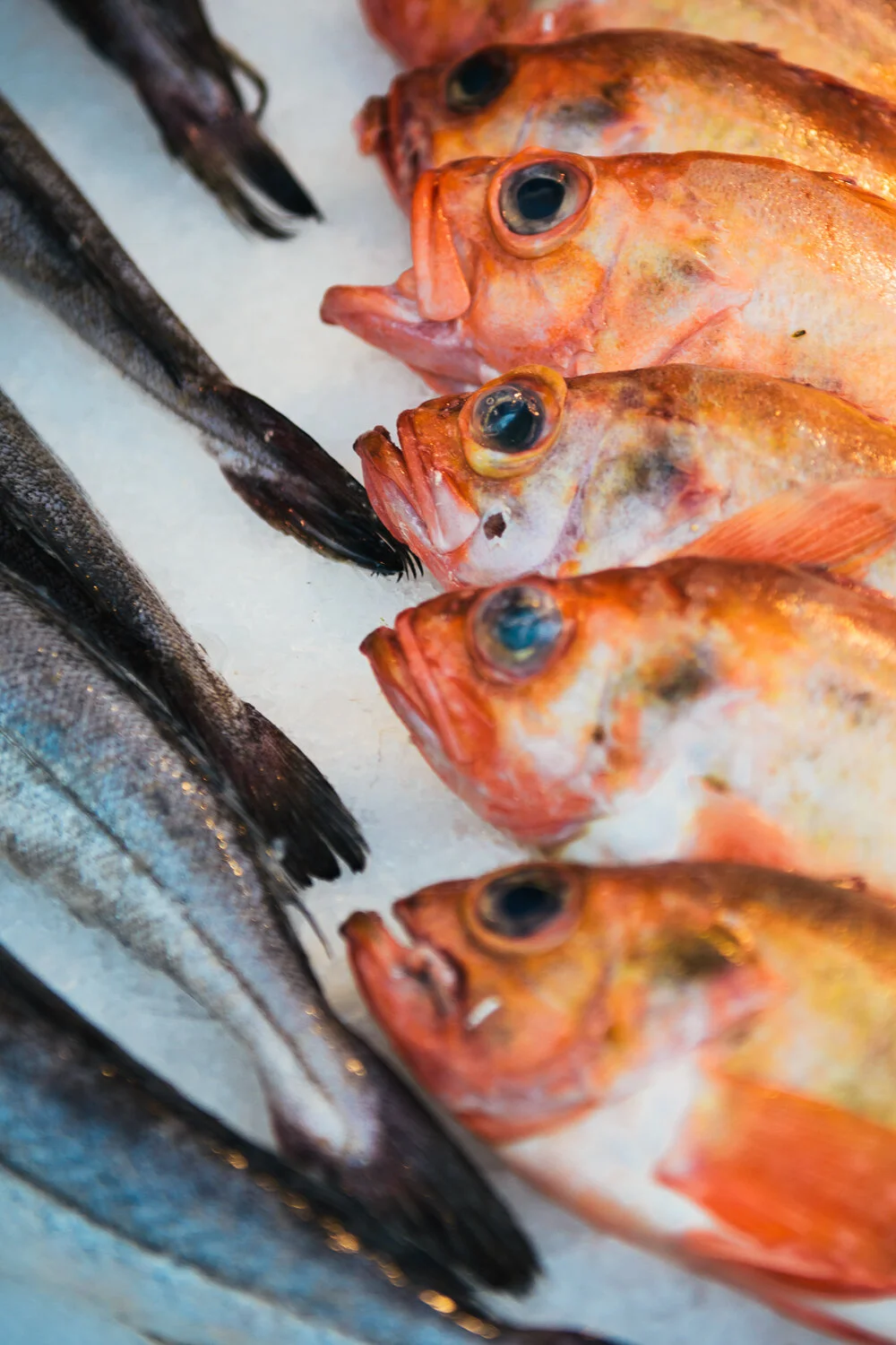 image-asset (13).jpeg