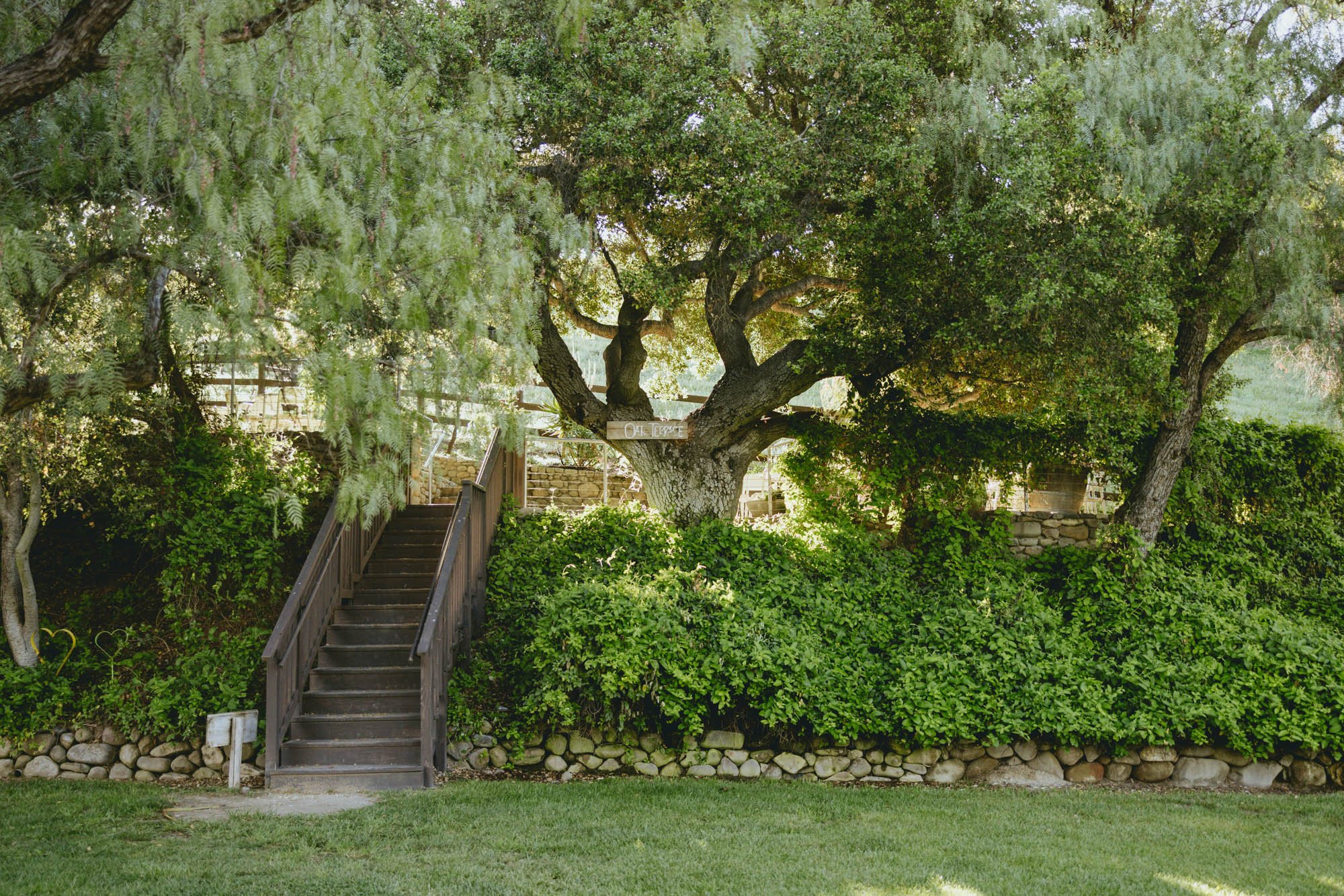 R5A_7843.jpg