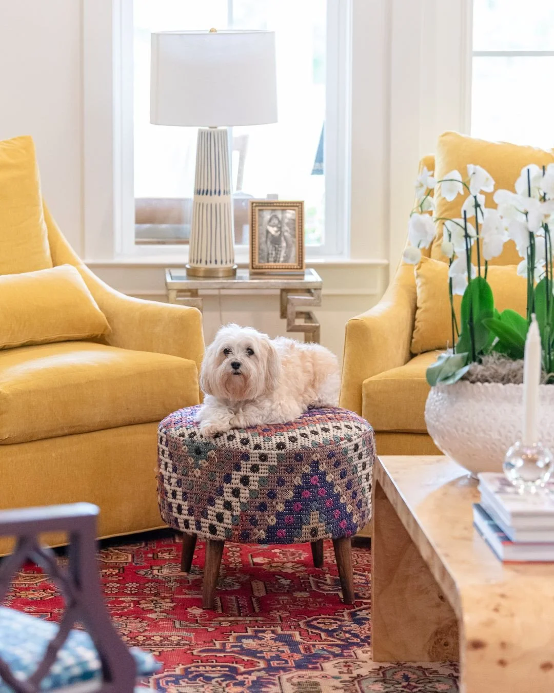 The best seat in the house! Cozy textures, bold color, and just the right mix of pattern bring this living room to life.⁠
⁠
#wynnepeaceinteriordesign #dogsofinstagram #livingroominspo #saturdaymood