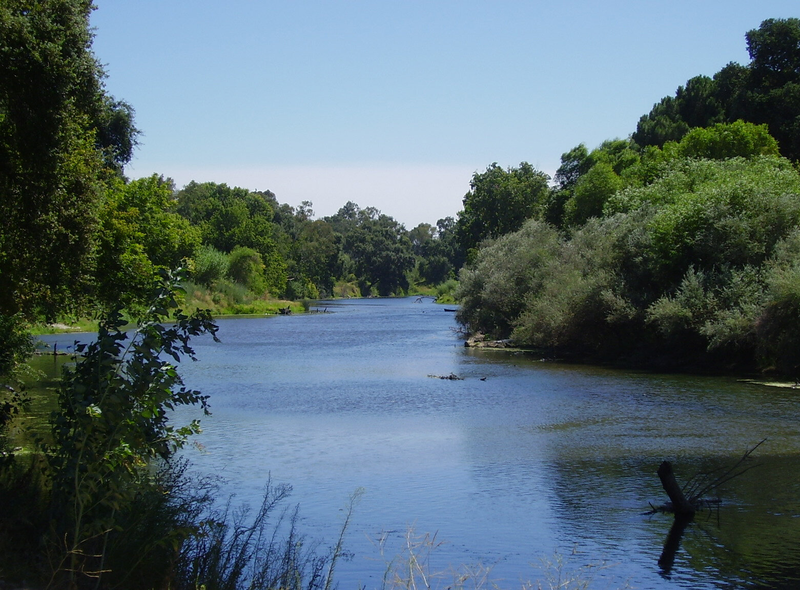 Modesto is Riparian