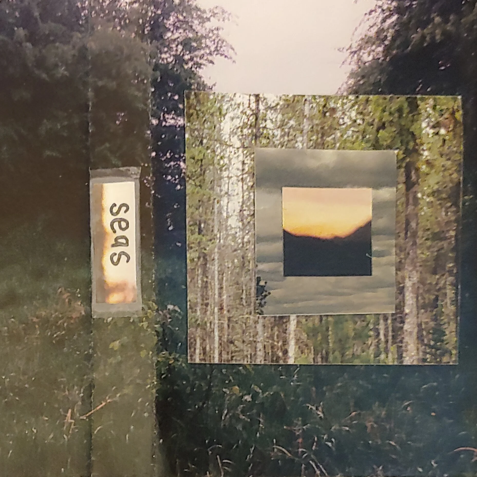 seas - "Divisons" E.P.
Mixed  "Go Looking"
Montreal
