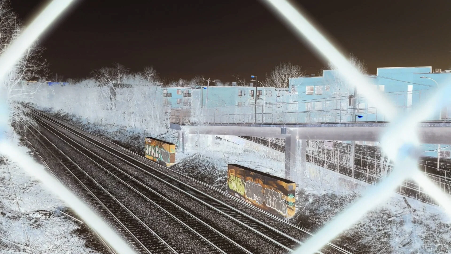 IN the End - Website .jpg