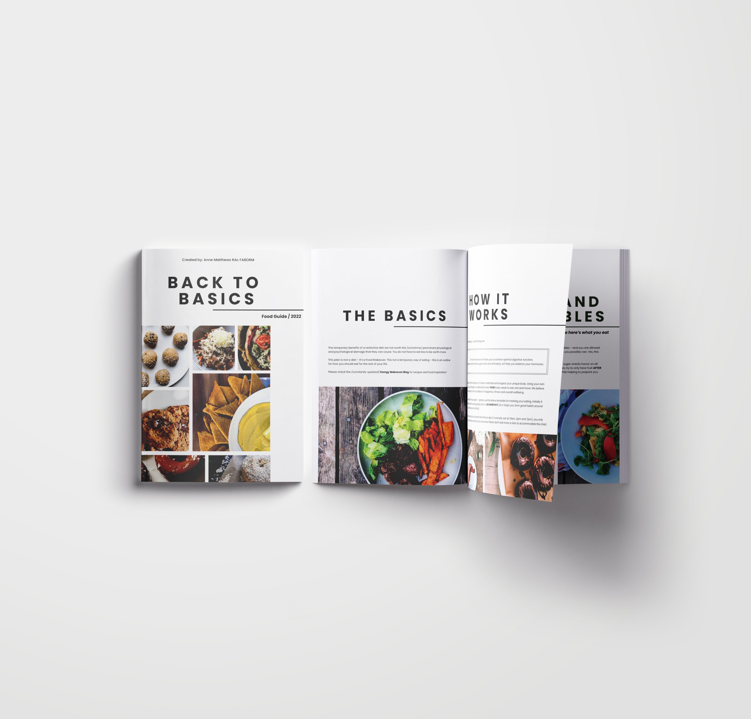 Back_To_Basics_Food_Guide_In-Situ.jpg