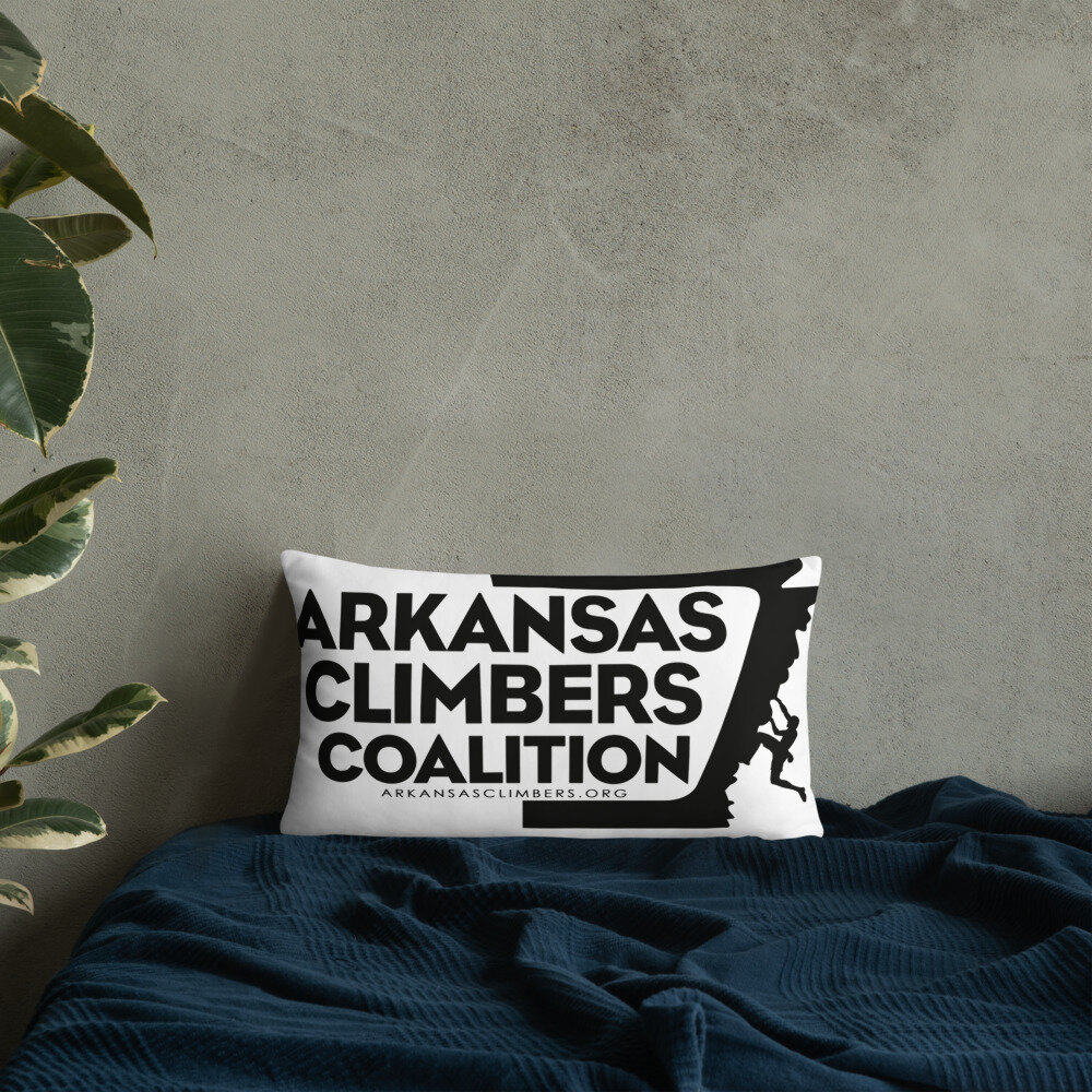 all-over-print-basic-pillow-20x12-front-lifestyle-8-616c7d194b03f.jpg