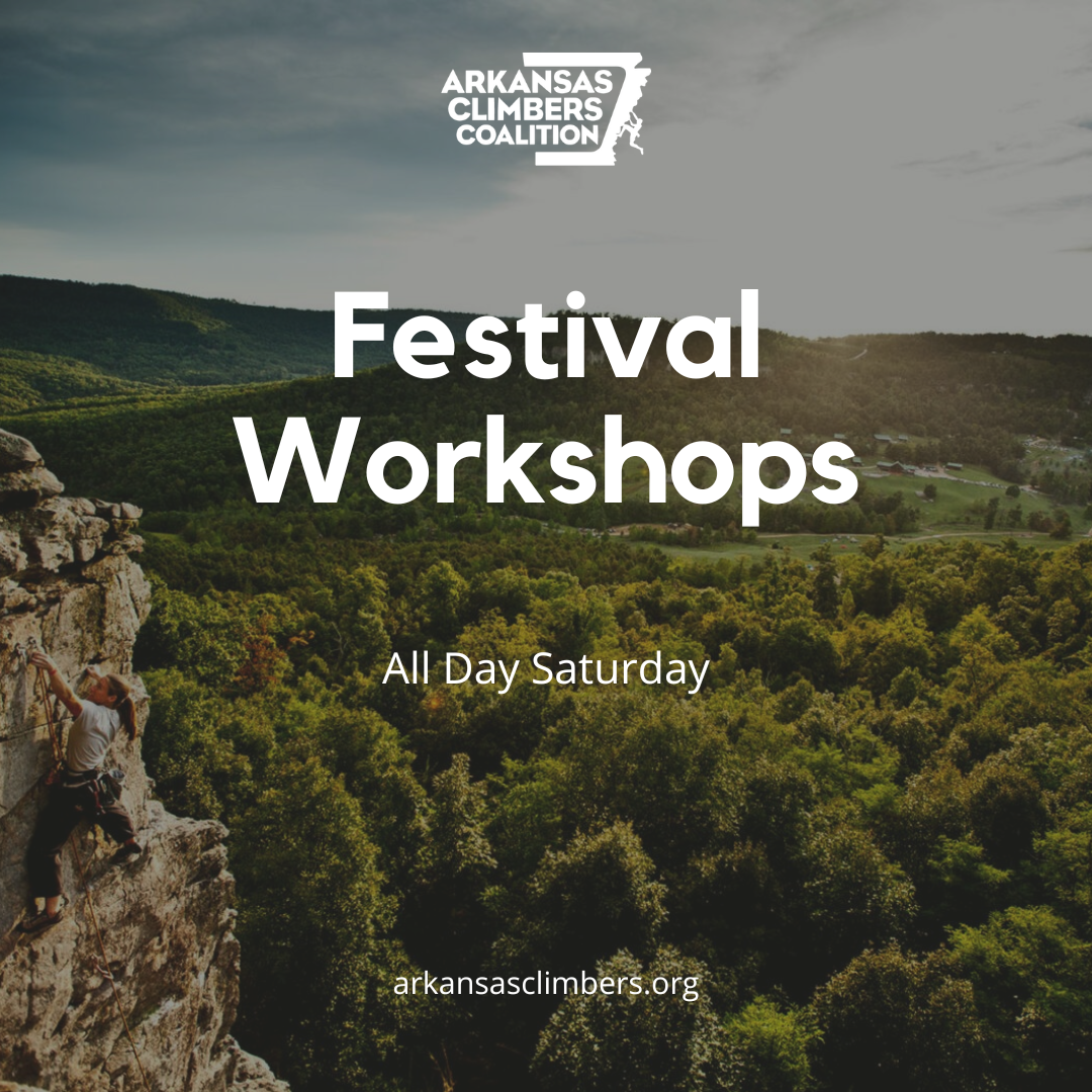 Festival Workshops