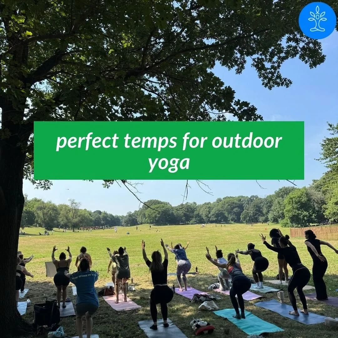 5 reasons we think you ✨need✨ our Unlimited September deal 🙈 

🔗 in the bio for more info! 🧘🏻🧘🏽&zwj;♀️🧘🏼&zwj;♂️