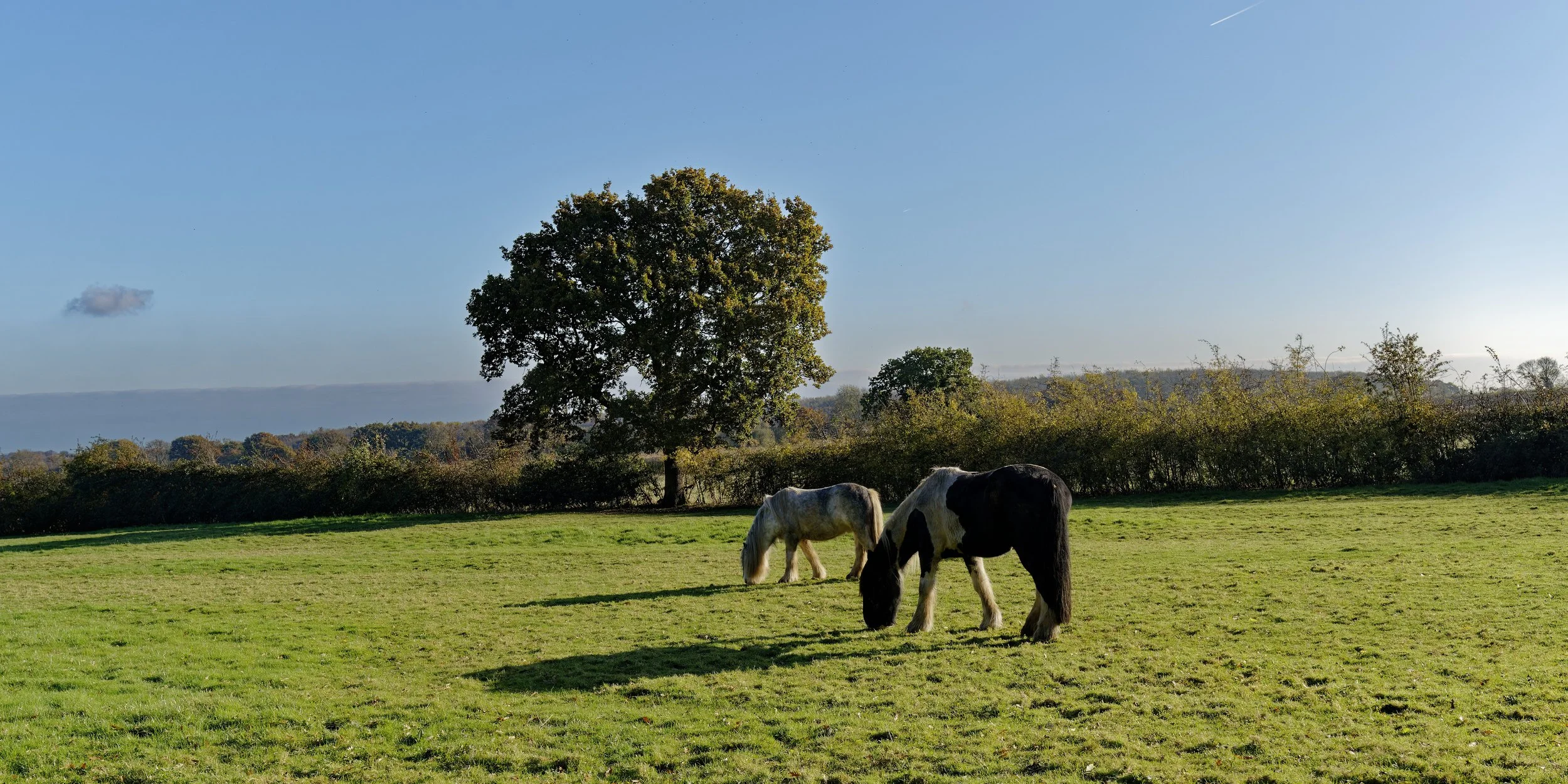 Autumn in Lincolnshire