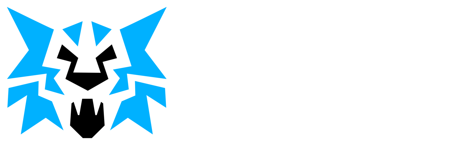 Wildcat Contractors
