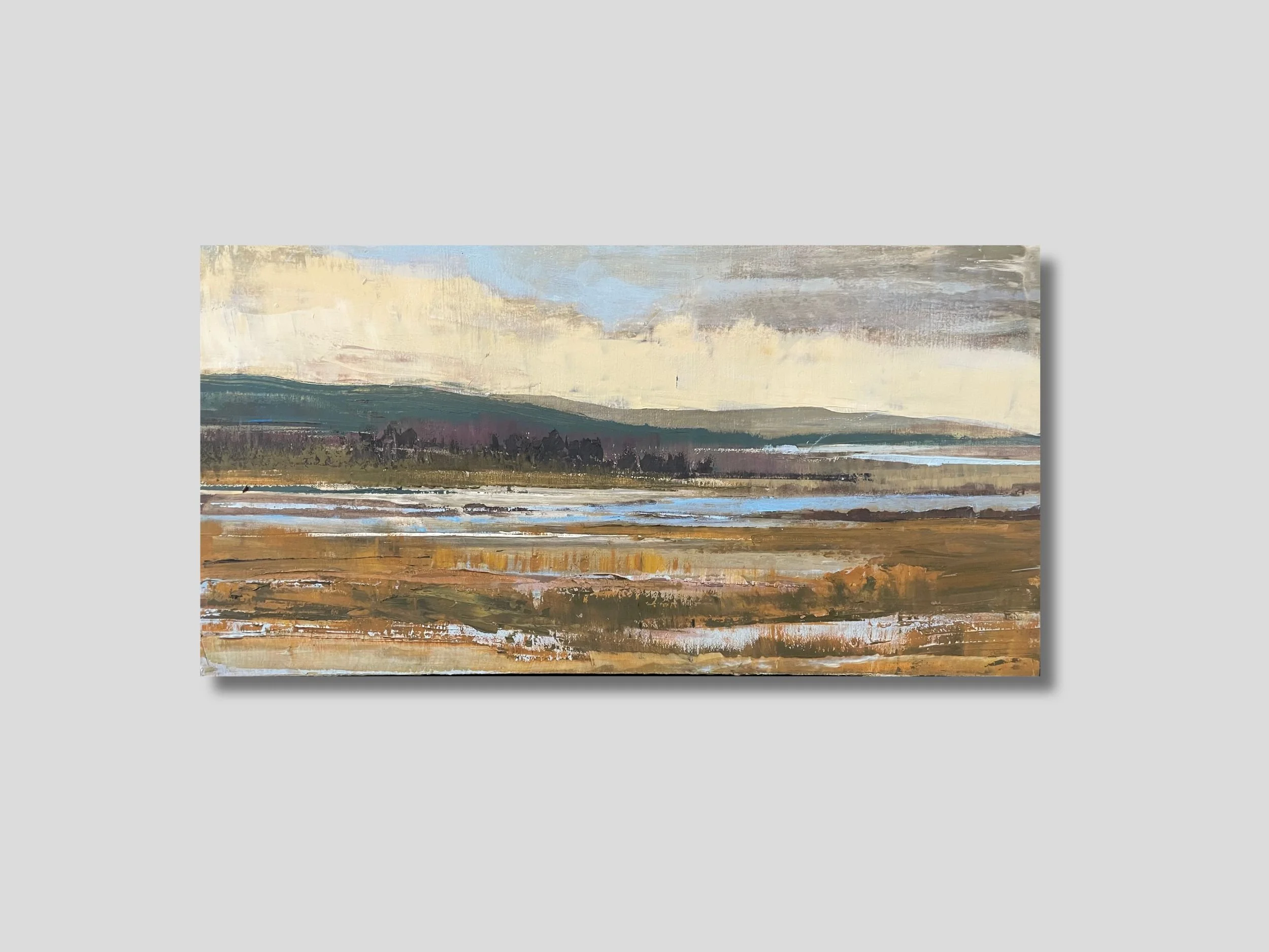 Wetlands