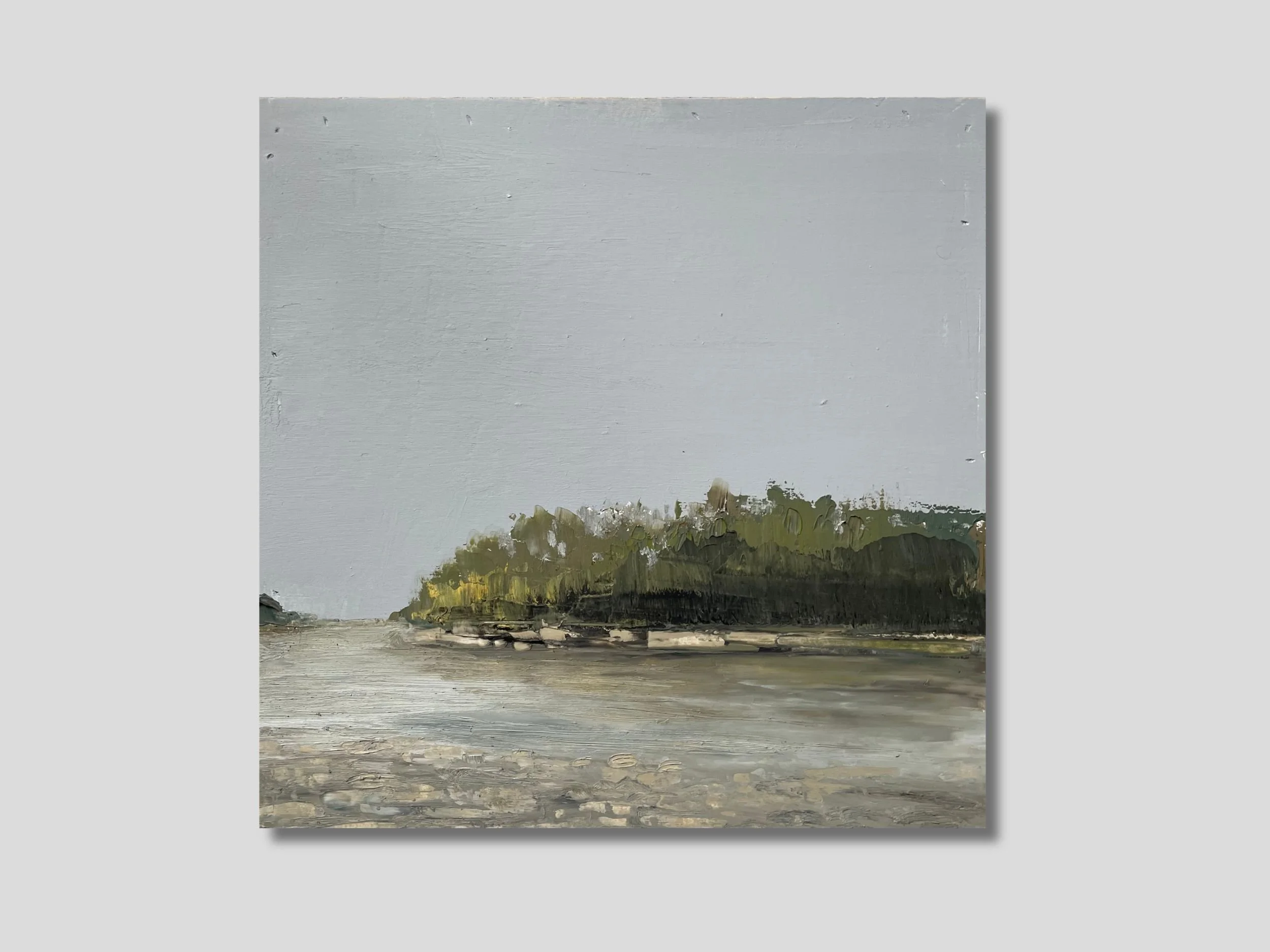 Shallows