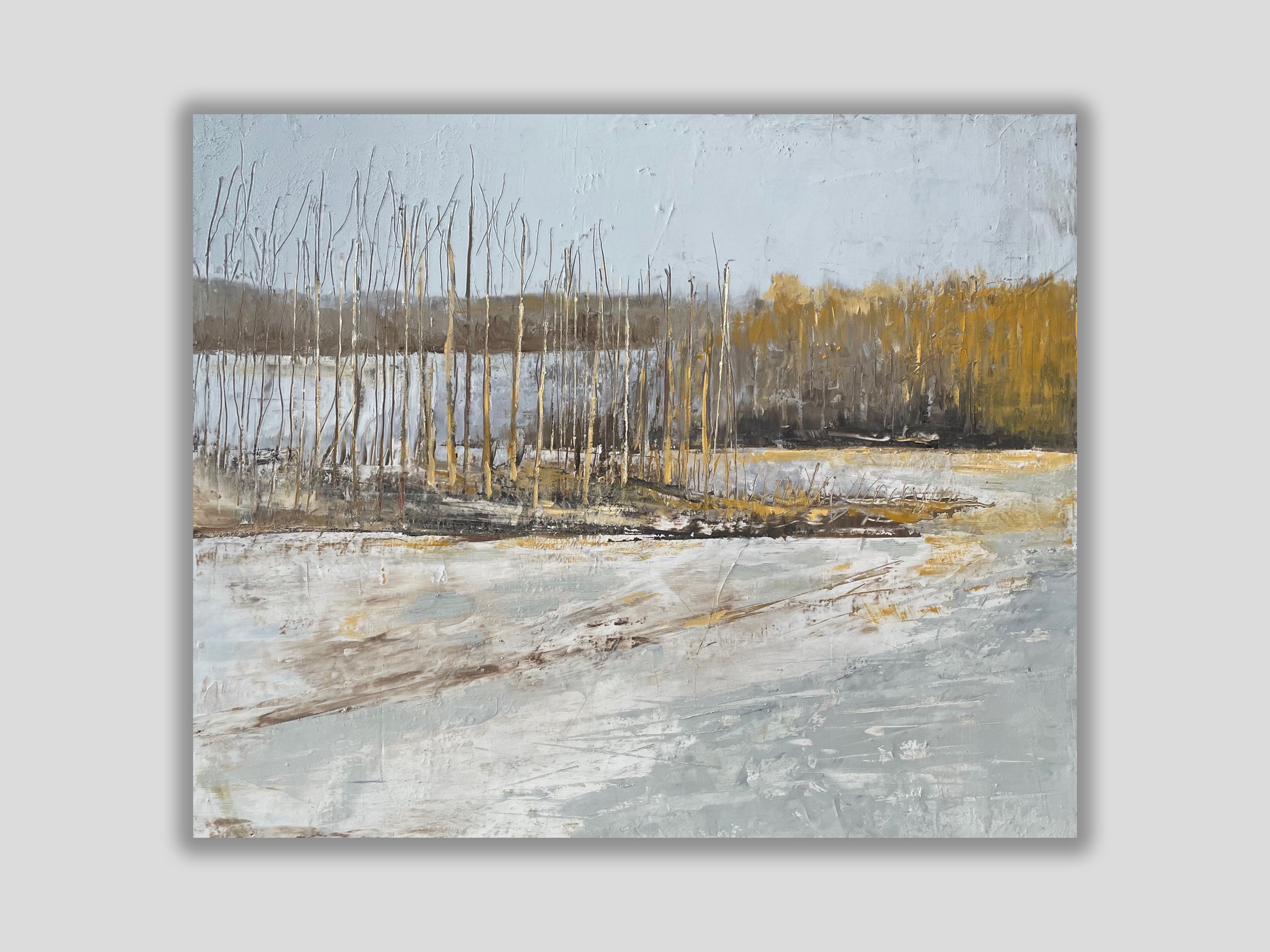 My Backyard in the Afternoon - Oil and Cold Wax Medium - 27 x 30 inches