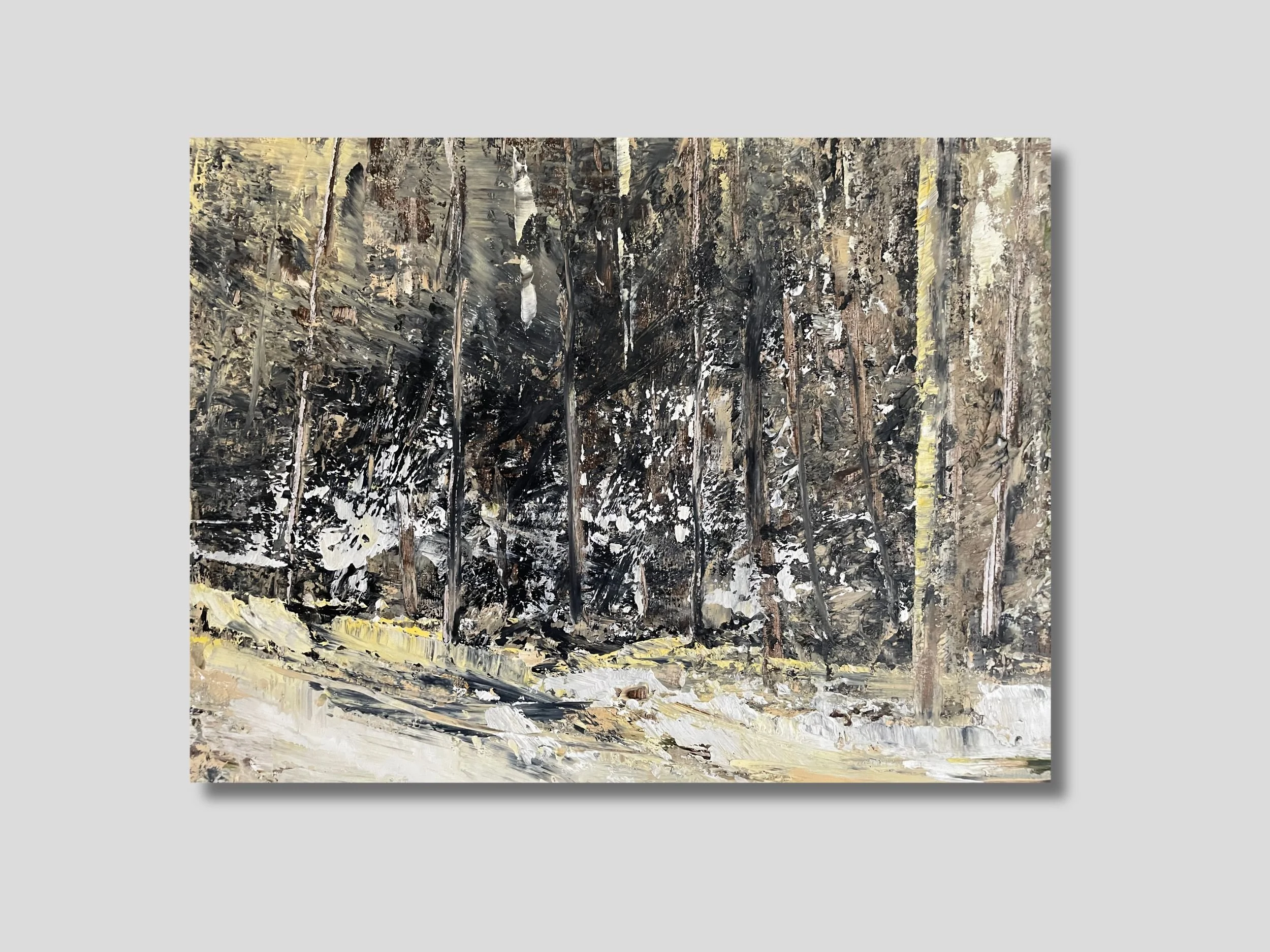 Winter Trail