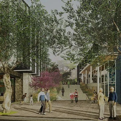 Presidio Highlands at 3333 California</br>Master Plan & Concept Design