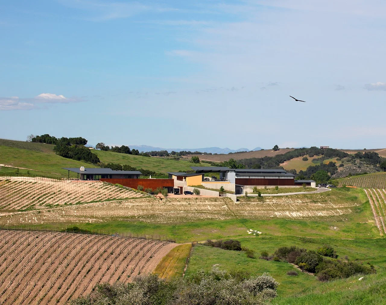 Law Winery — BAR Architects & Interiors