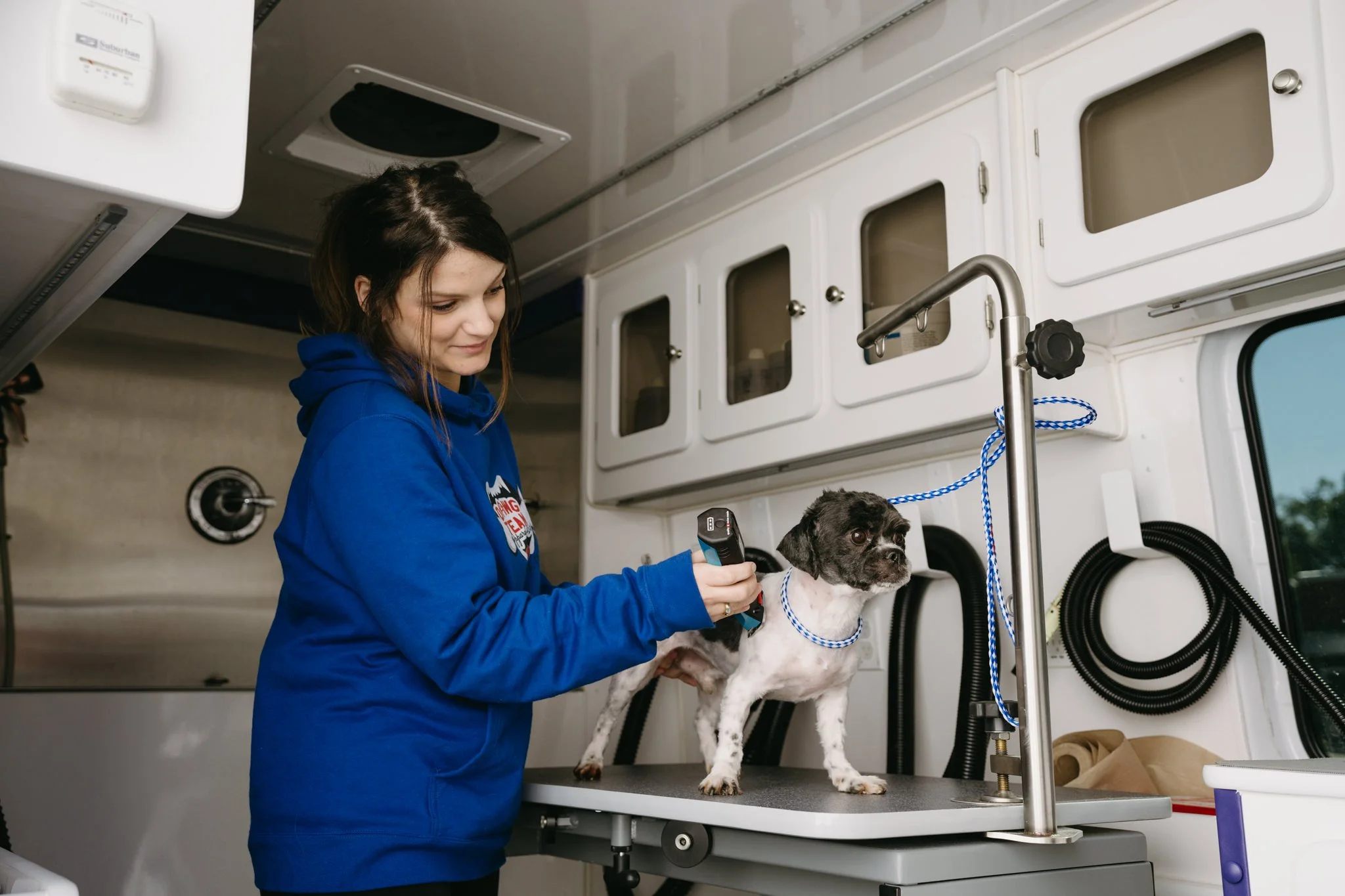 A dog groomer, wearing a bright blue company hoodie, is trimming the hair of a small black and white dog in their mobile grooming truck in Memphis.