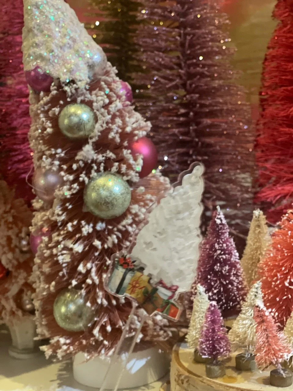 oh christmas tree.jpg