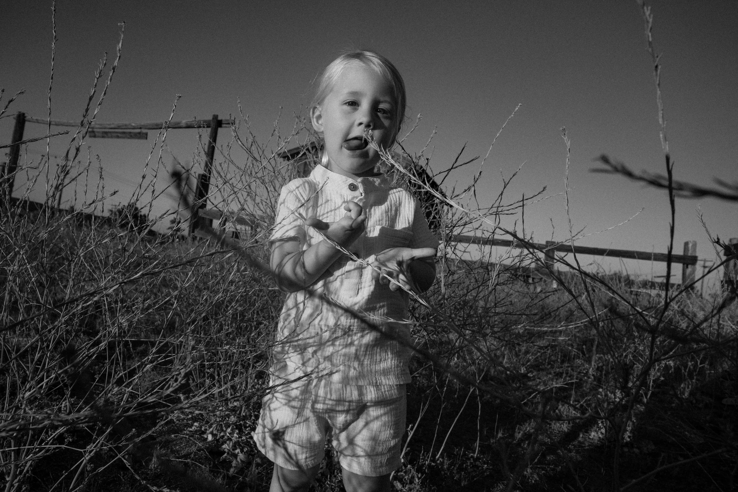 Photo Jun 12 2024, 7 20 49 PM.jpg