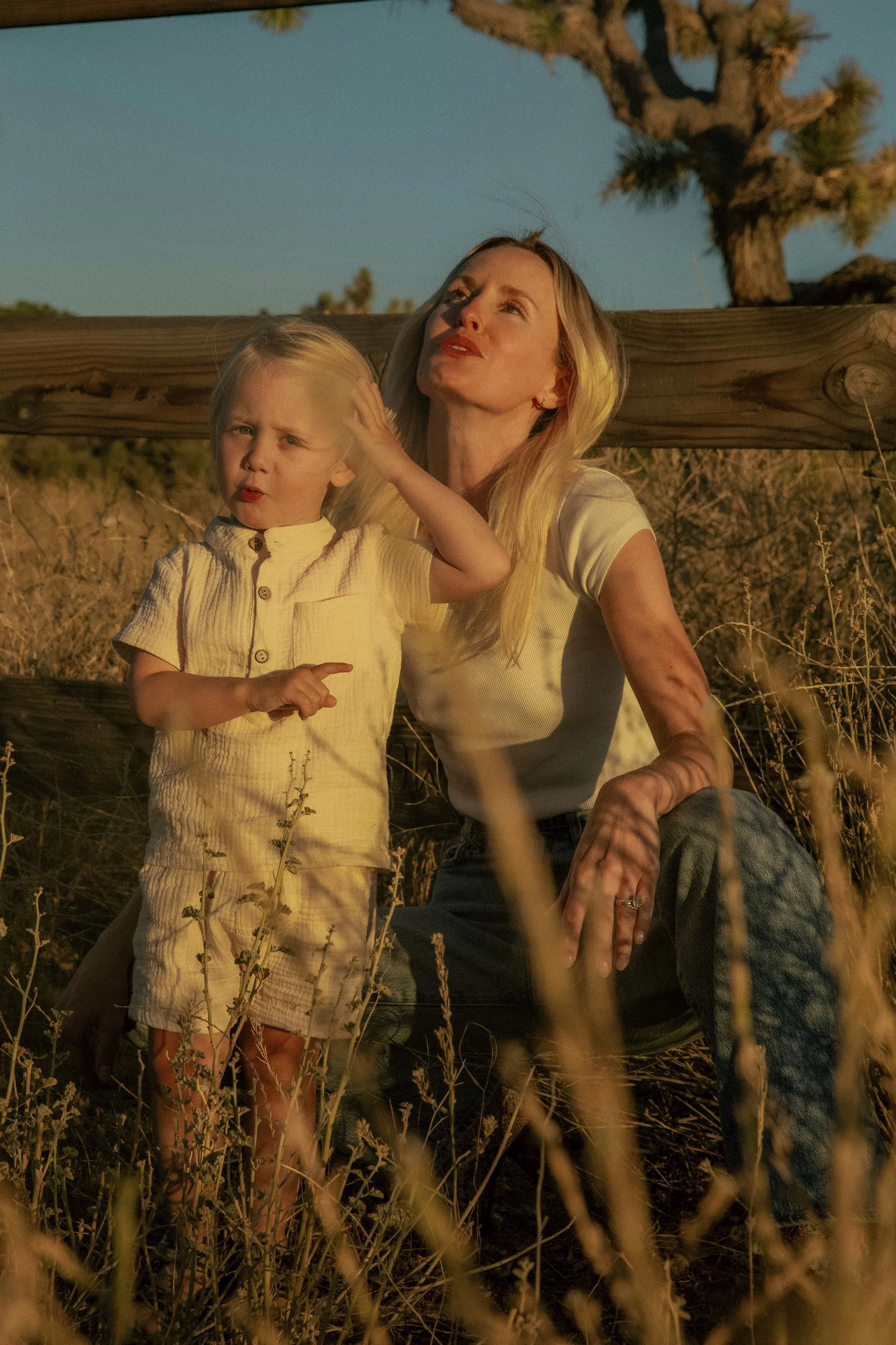 Photo Jun 12 2024, 7 17 50 PM.jpg