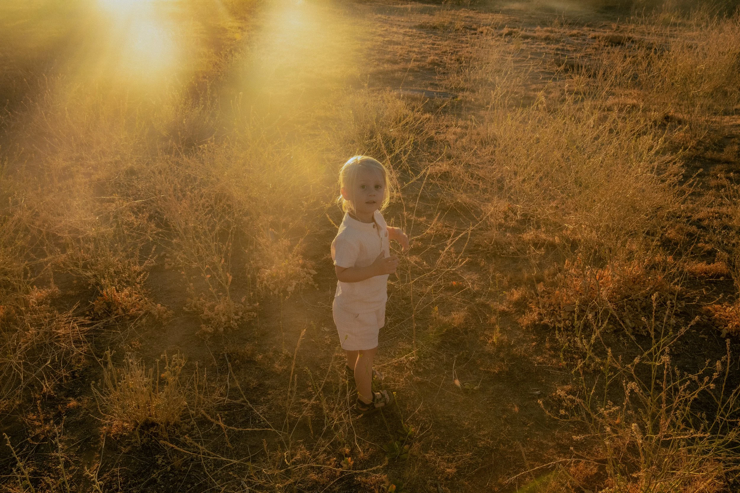 Photo Jun 12 2024, 7 22 46 PM.jpg