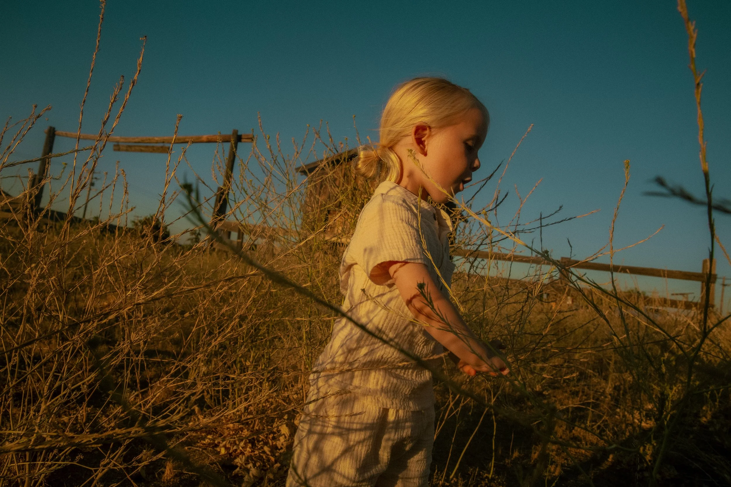 Photo Jun 12 2024, 7 20 50 PM.jpg